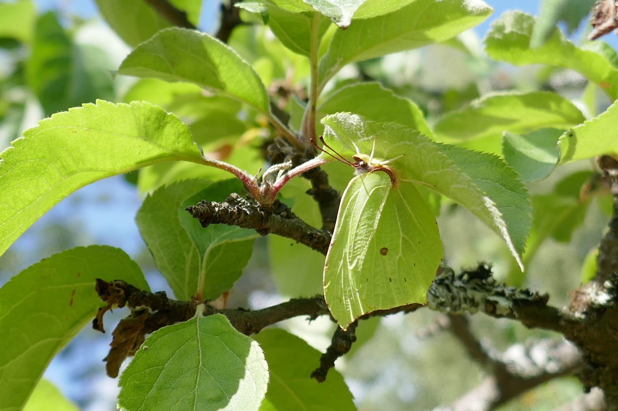 Valokuvaaja: Anne Patana