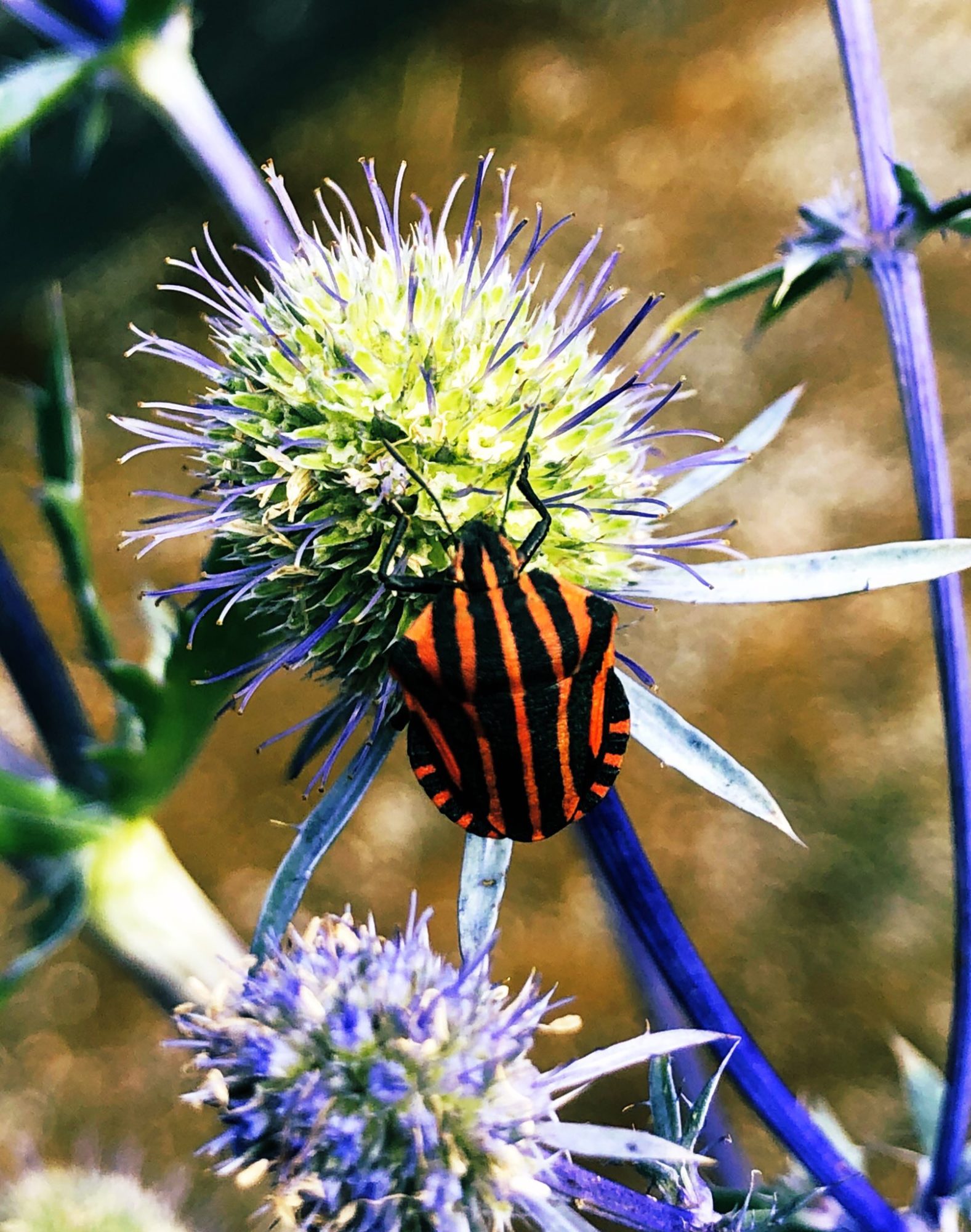 Valokuvaaja: Mereta Helin Valokuvaaja: Mereta Helin