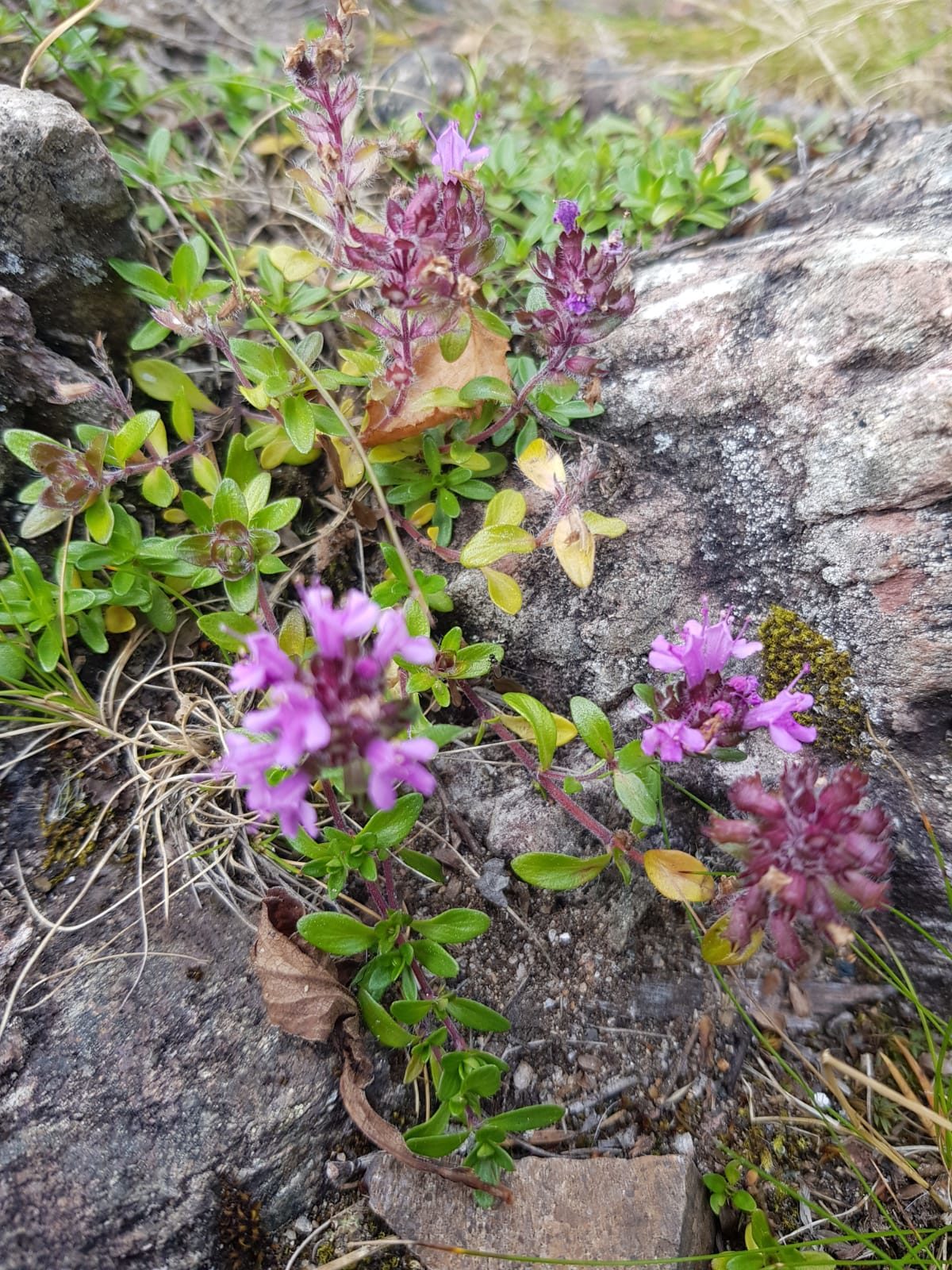 Valokuvaaja: Eija-Inkeri Mantere Valokuvaaja: Eija-Inkeri Mantere
