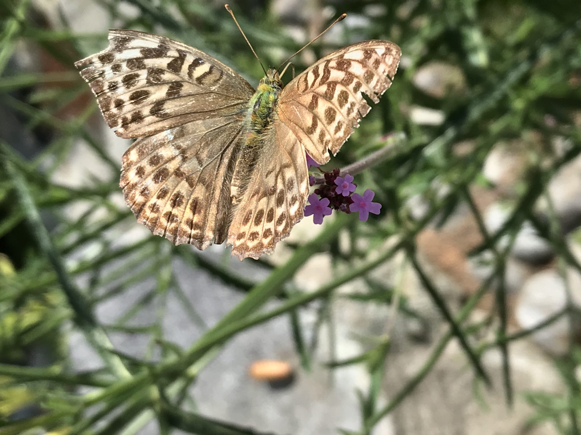 Valokuvaaja: Merja Vilen Valokuvaaja: Merja Vilen