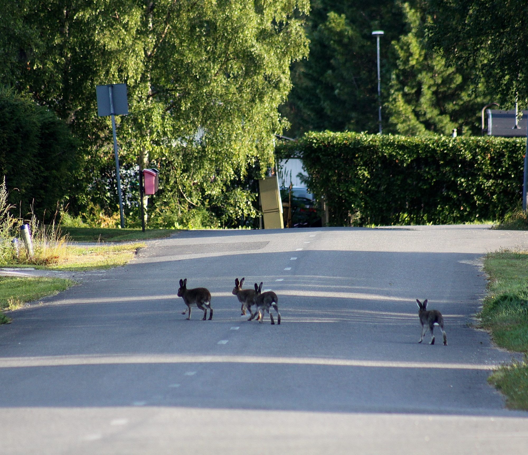 Valokuvaaja: Pirkko Siukonen Valokuvaaja: Pirkko Siukonen