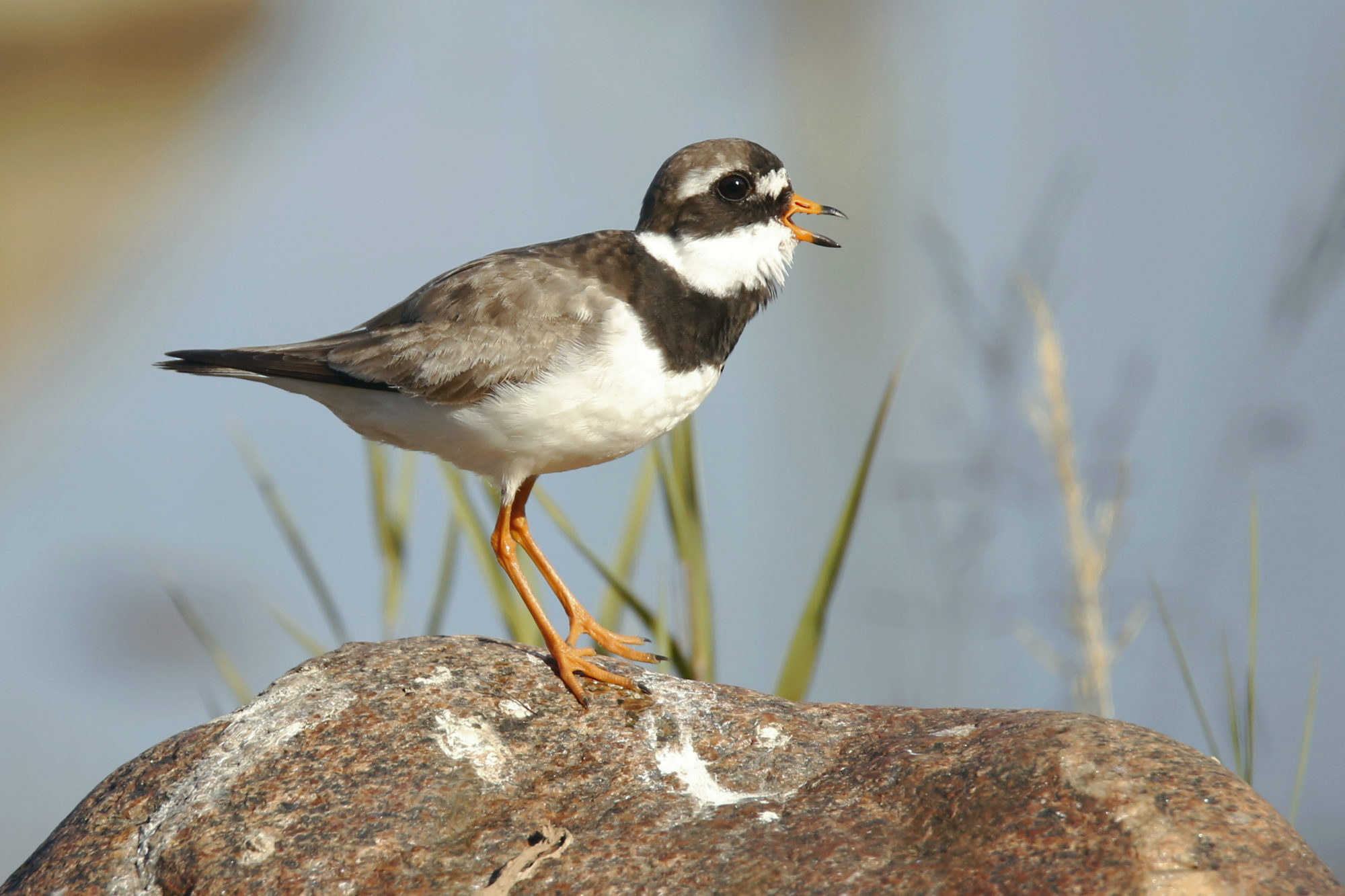 Valokuvaaja: Anne Jääskeläinen