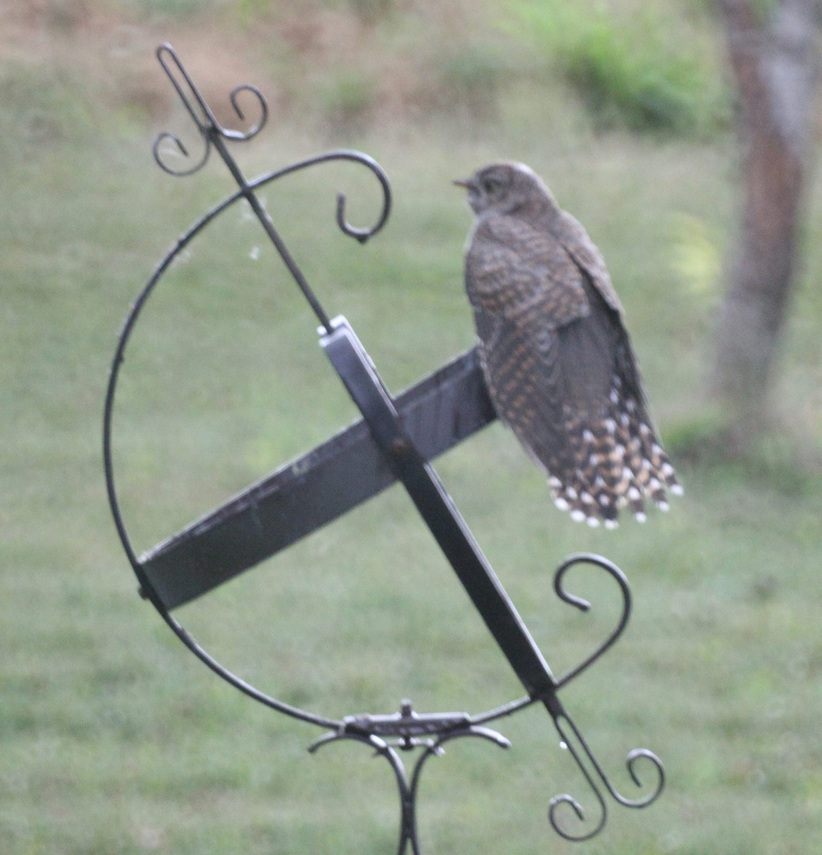 Valokuvaaja: Tom Aalto