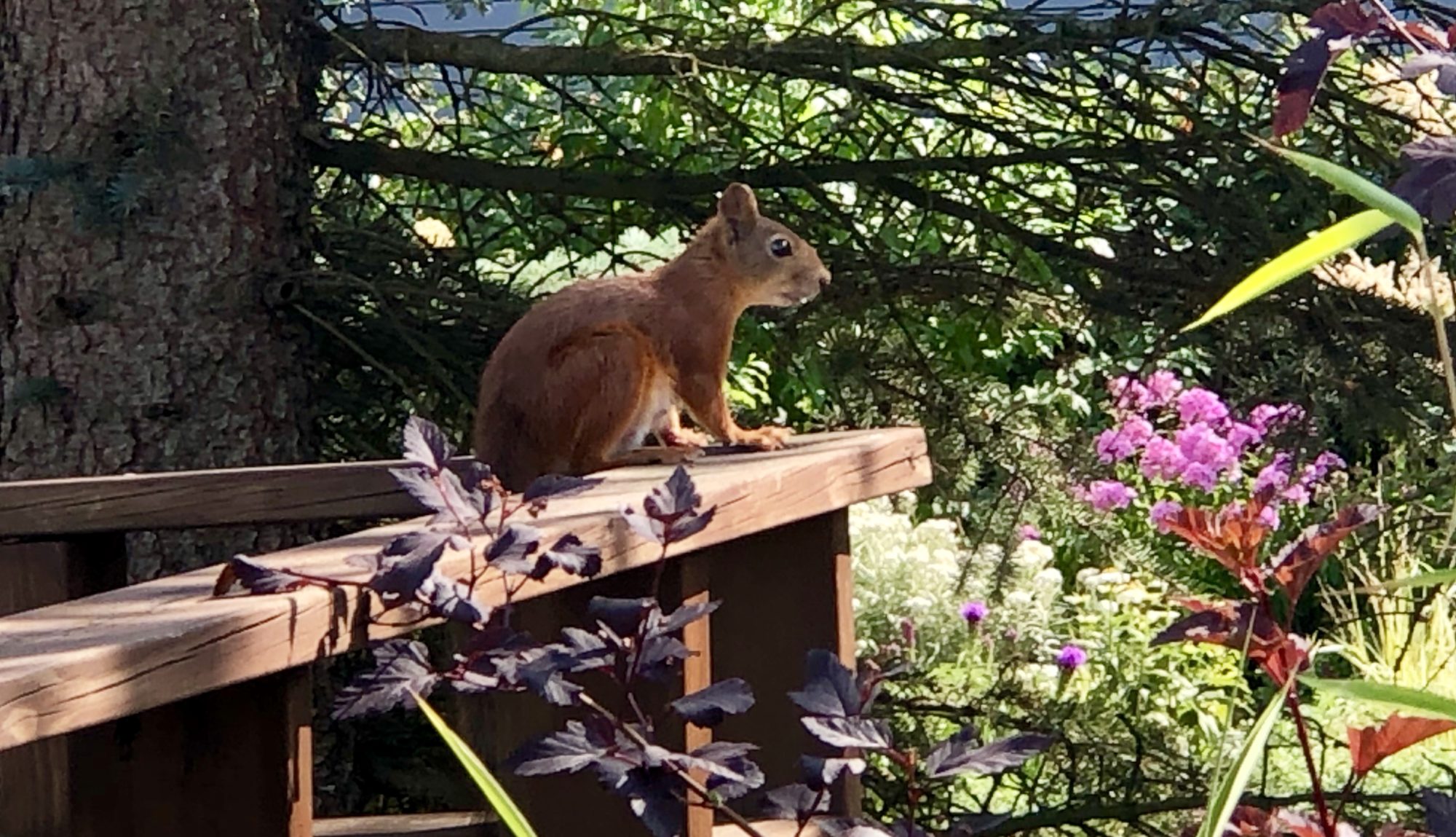 Valokuvaaja: Mereta Helin