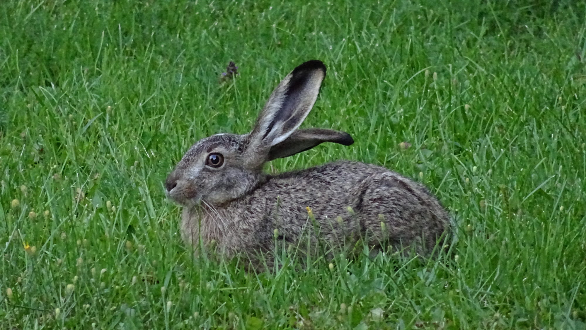 Valokuvaaja: Katja Ketola