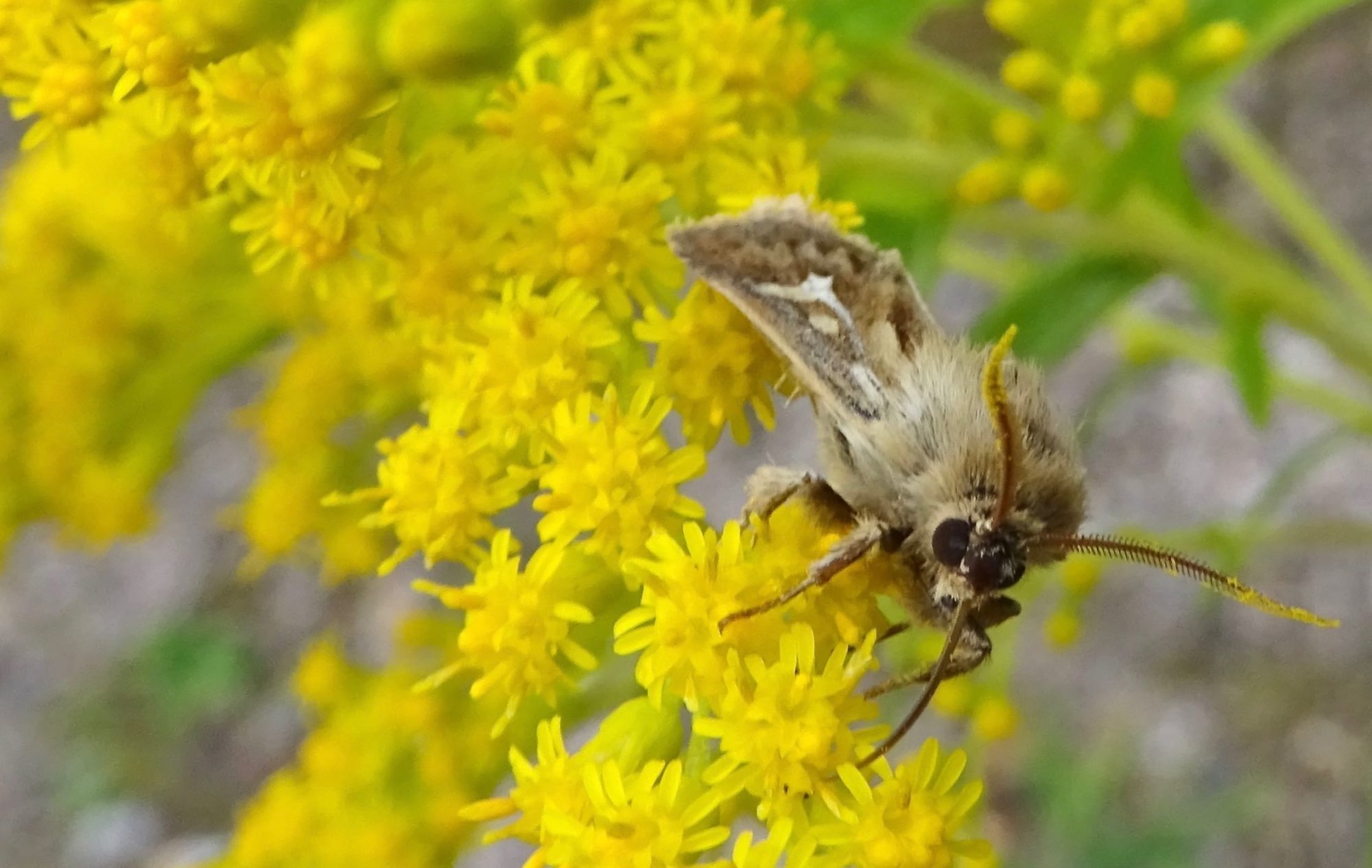 Valokuvaaja: Liisa Niiva-Korpela