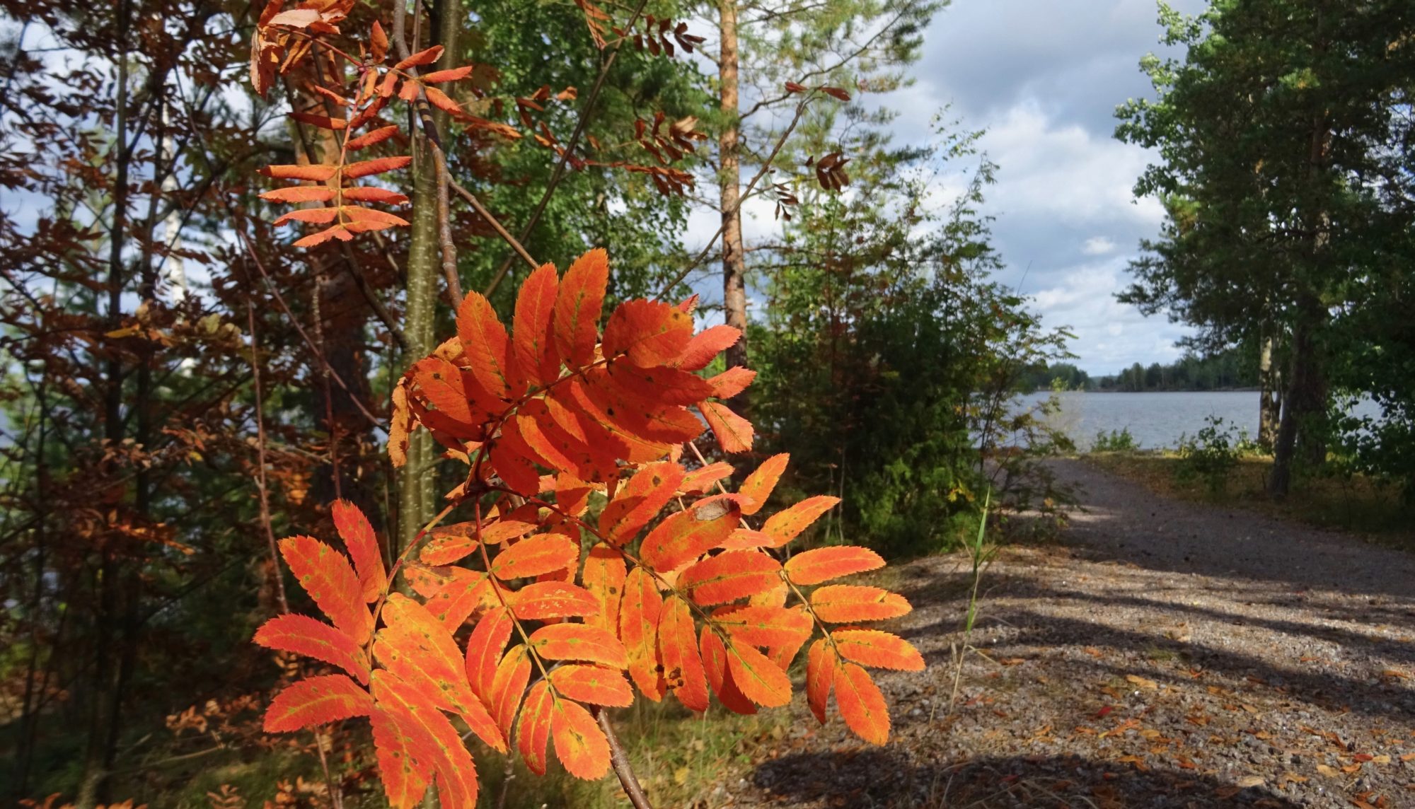 Valokuvaaja: Liisa Niiva-Korpela Valokuvaaja: Liisa Niiva-Korpela