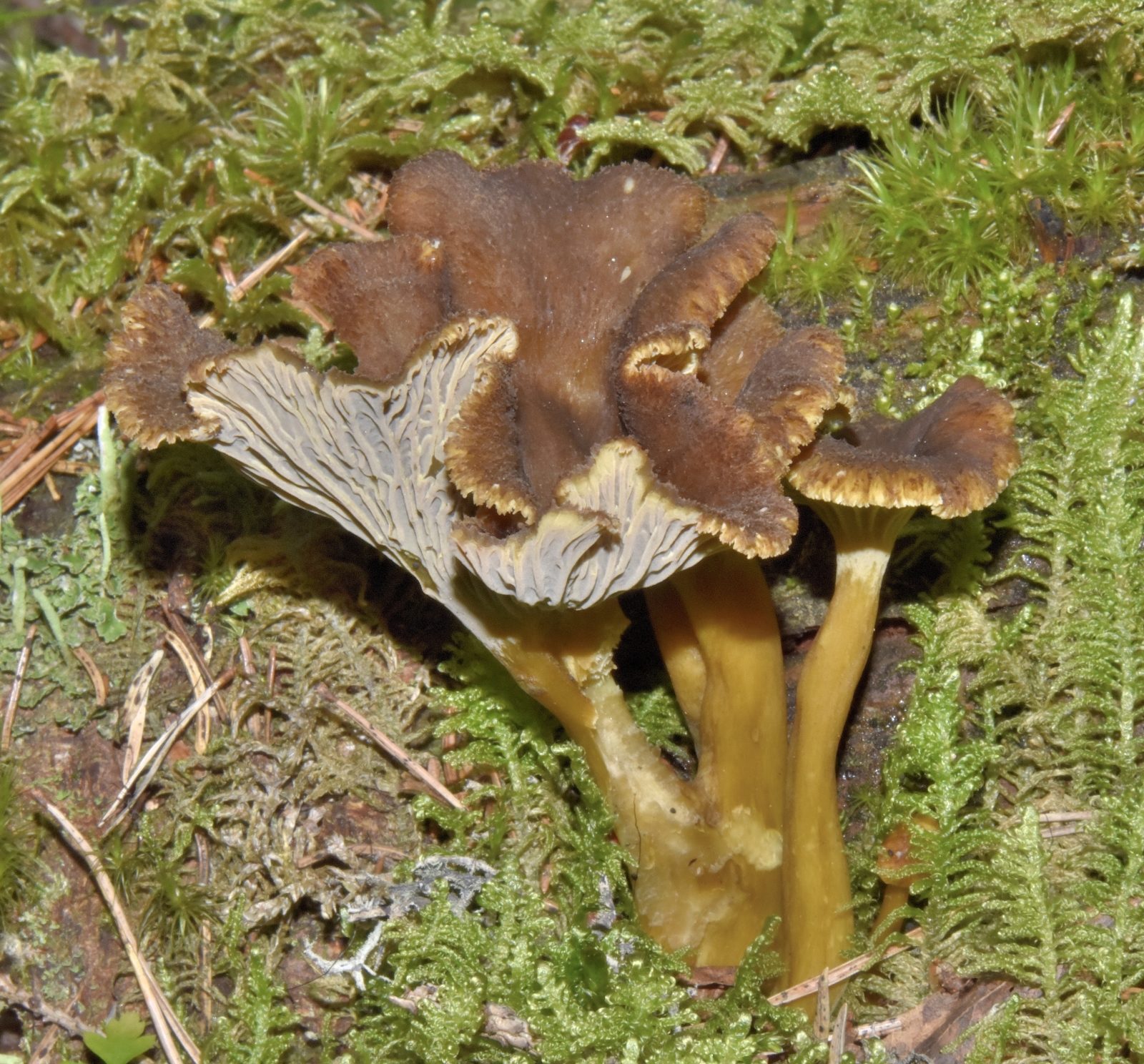 Valokuvaaja: Reijo Juurinen