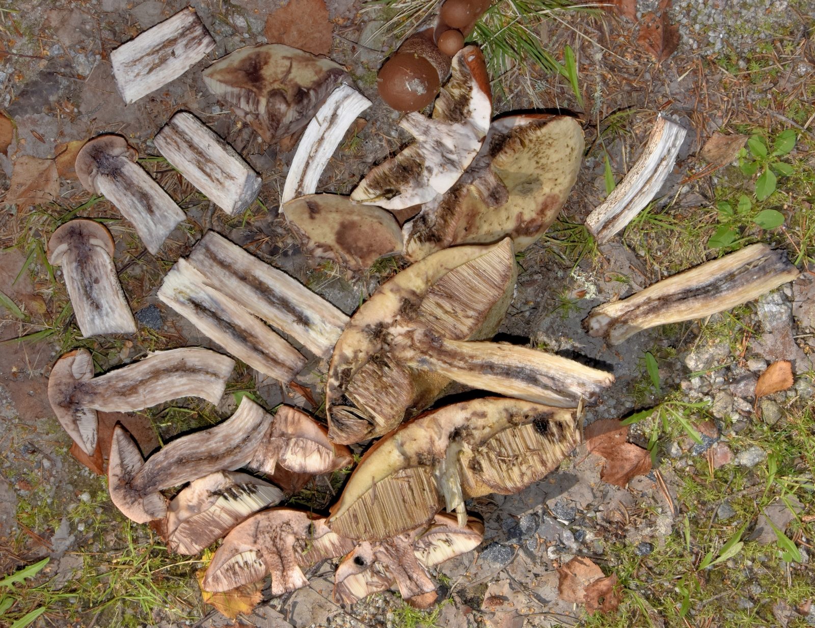 Valokuvaaja: Reijo Juurinen