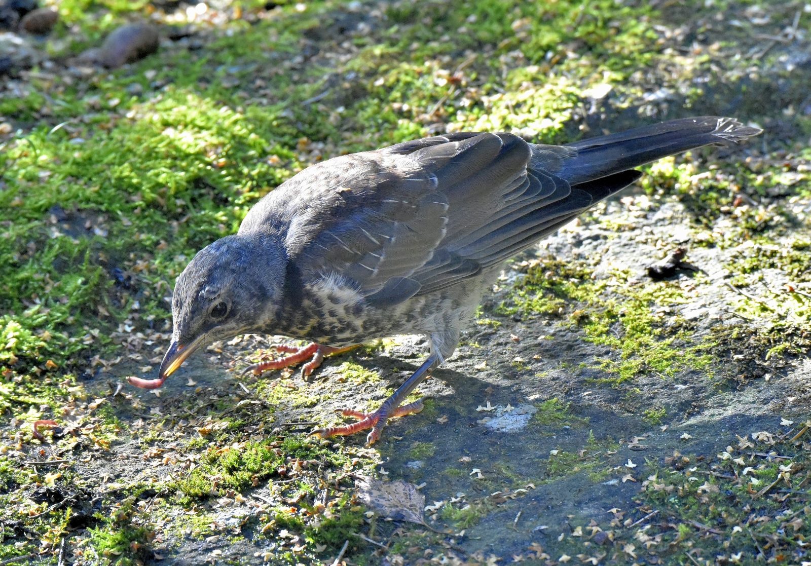 Valokuvaaja: Reijo Juurinen