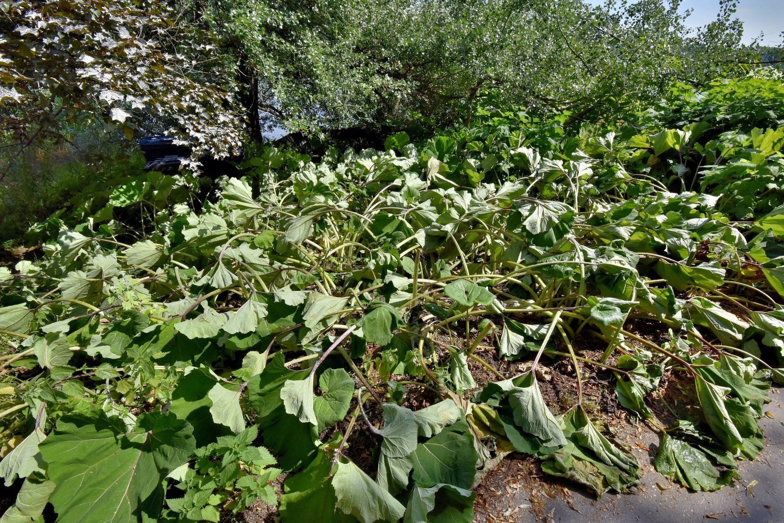 Valokuvaaja: Reijo Juurinen