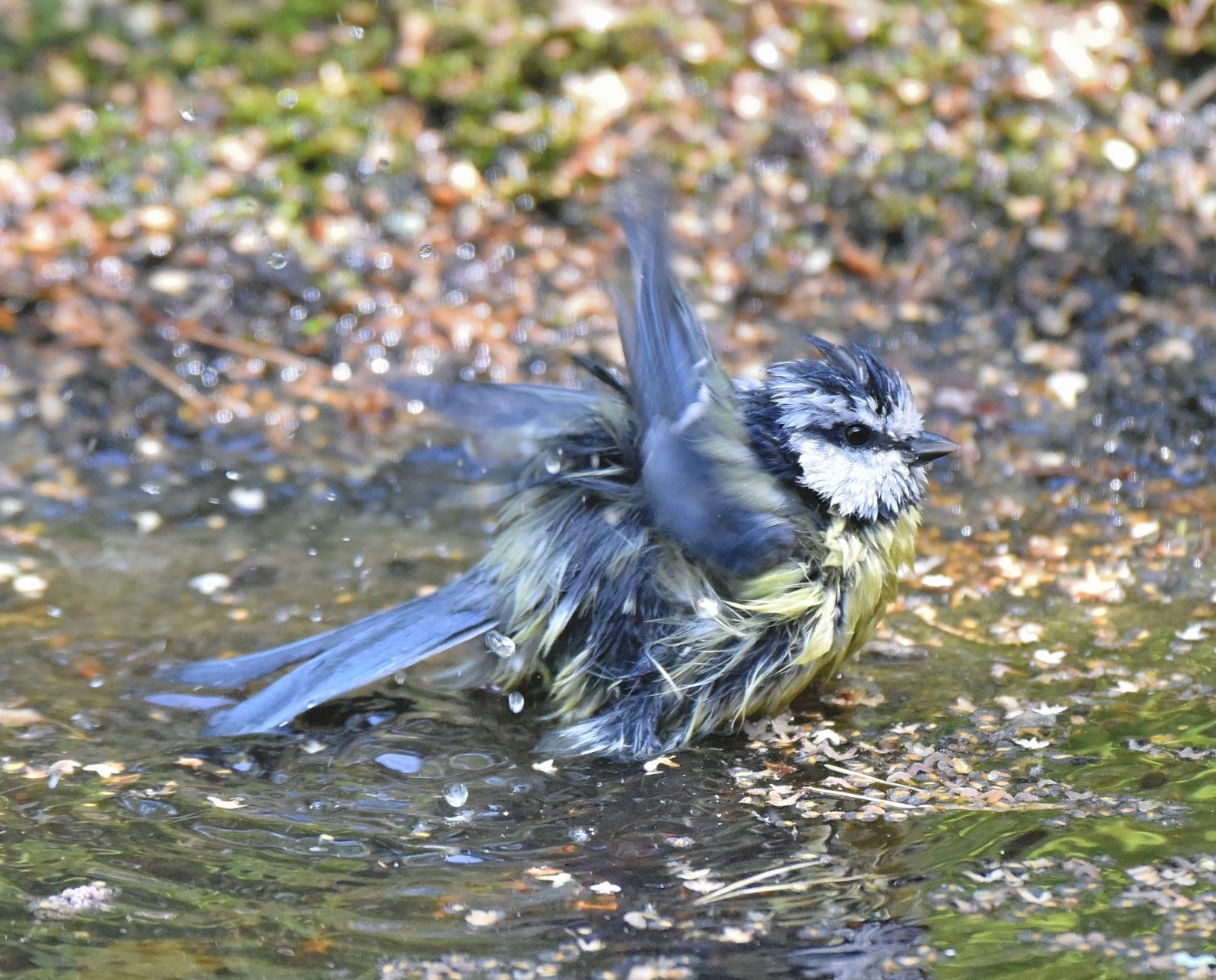 Valokuvaaja: Reijo Juurinen