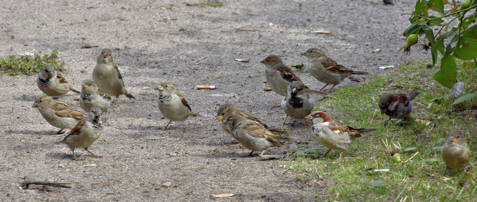 Valokuvaaja: Reijo Juurinen