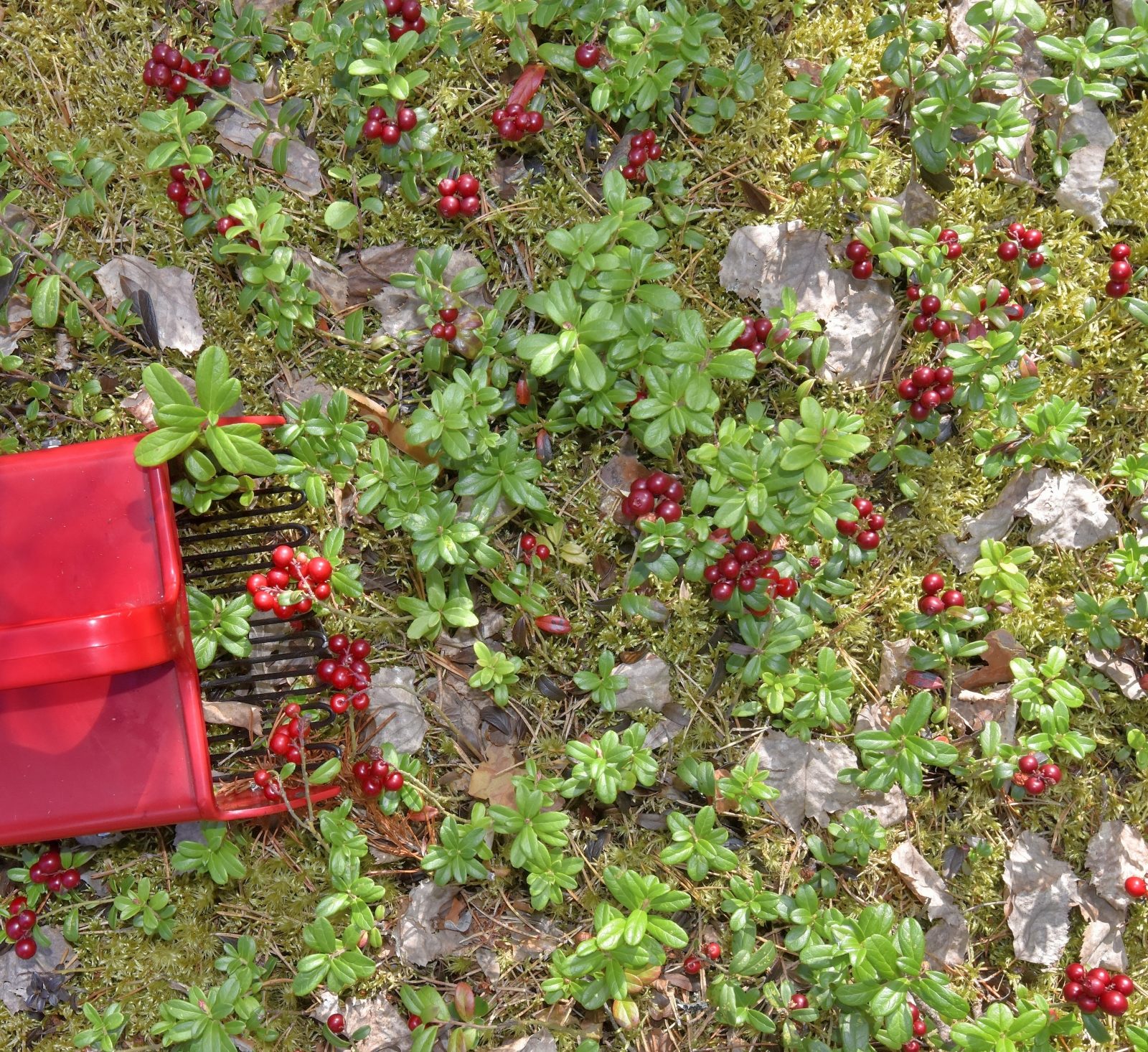Valokuvaaja: Reijo Juurinen