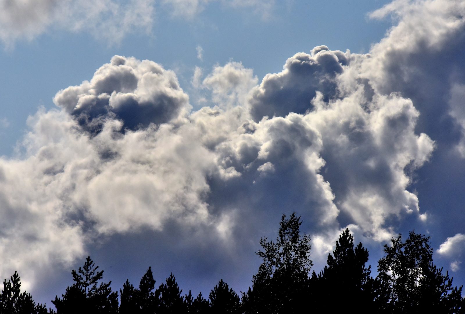 Valokuvaaja: Reijo Juurinen
