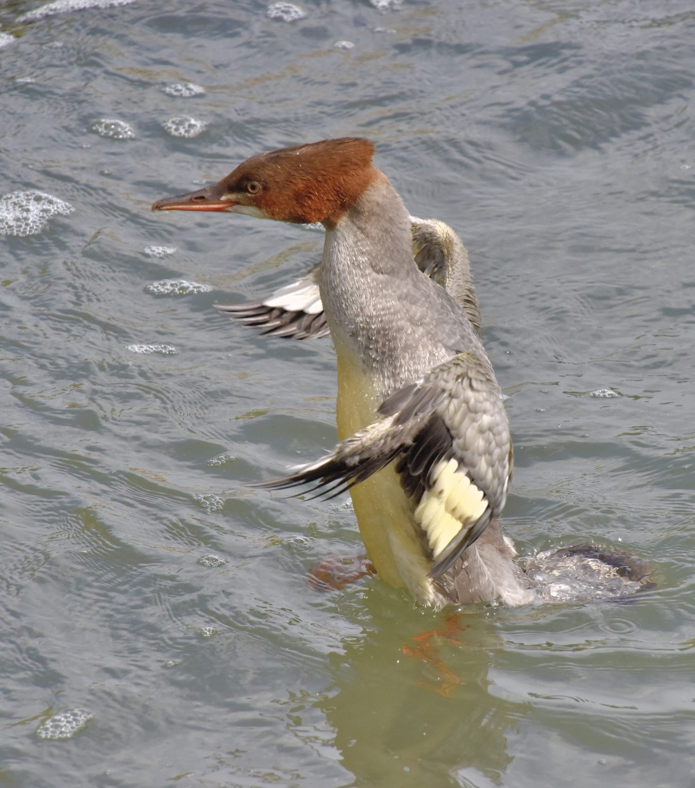 Valokuvaaja: Reijo Juurinen