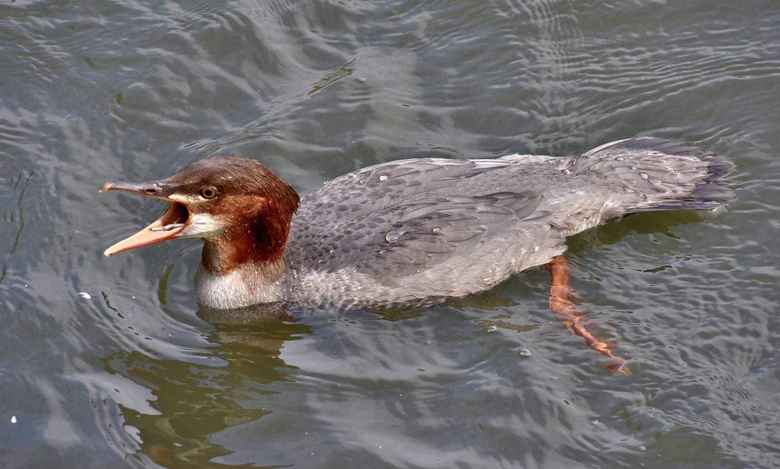 Valokuvaaja: Reijo Juurinen