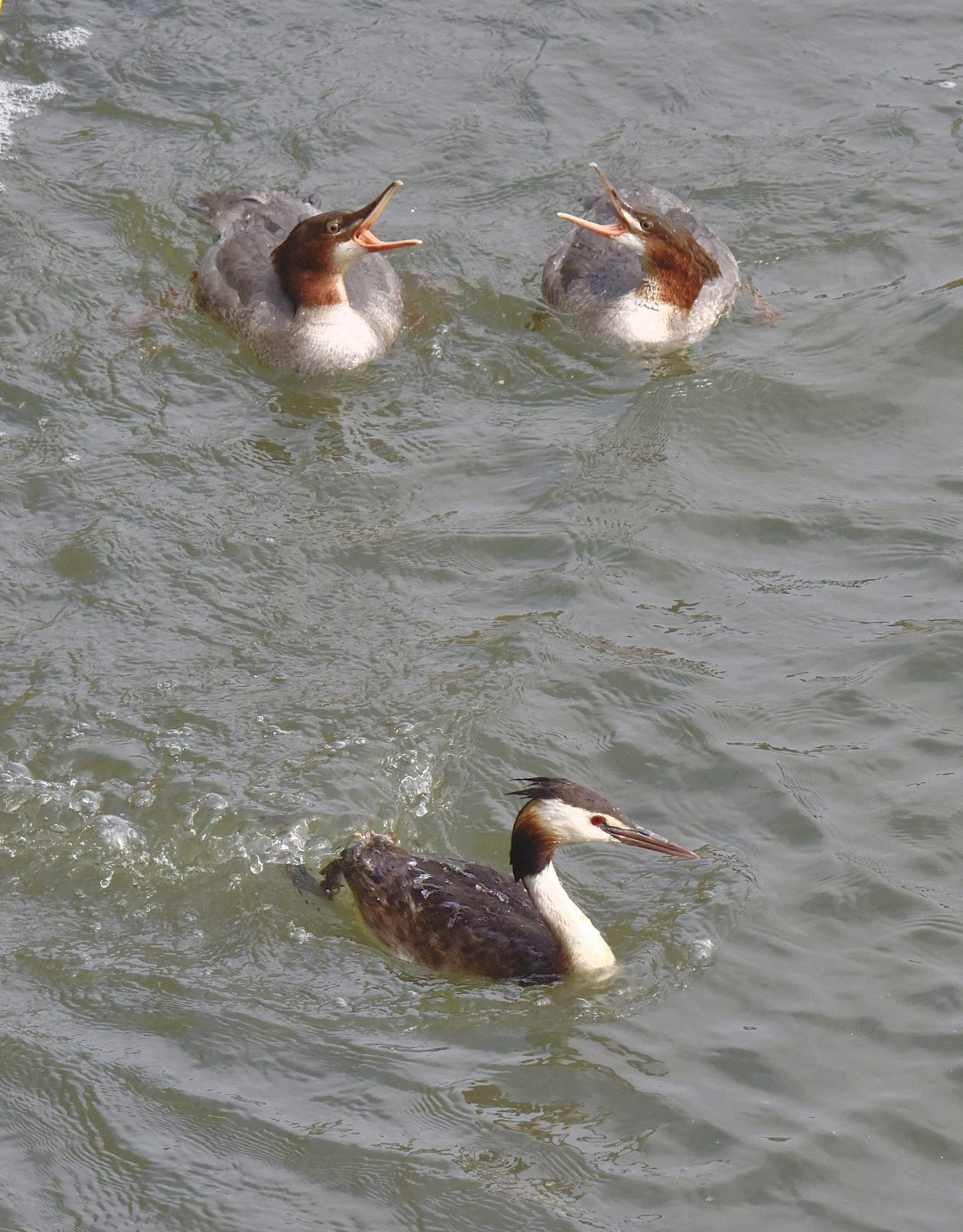 Valokuvaaja: Reijo Juurinen