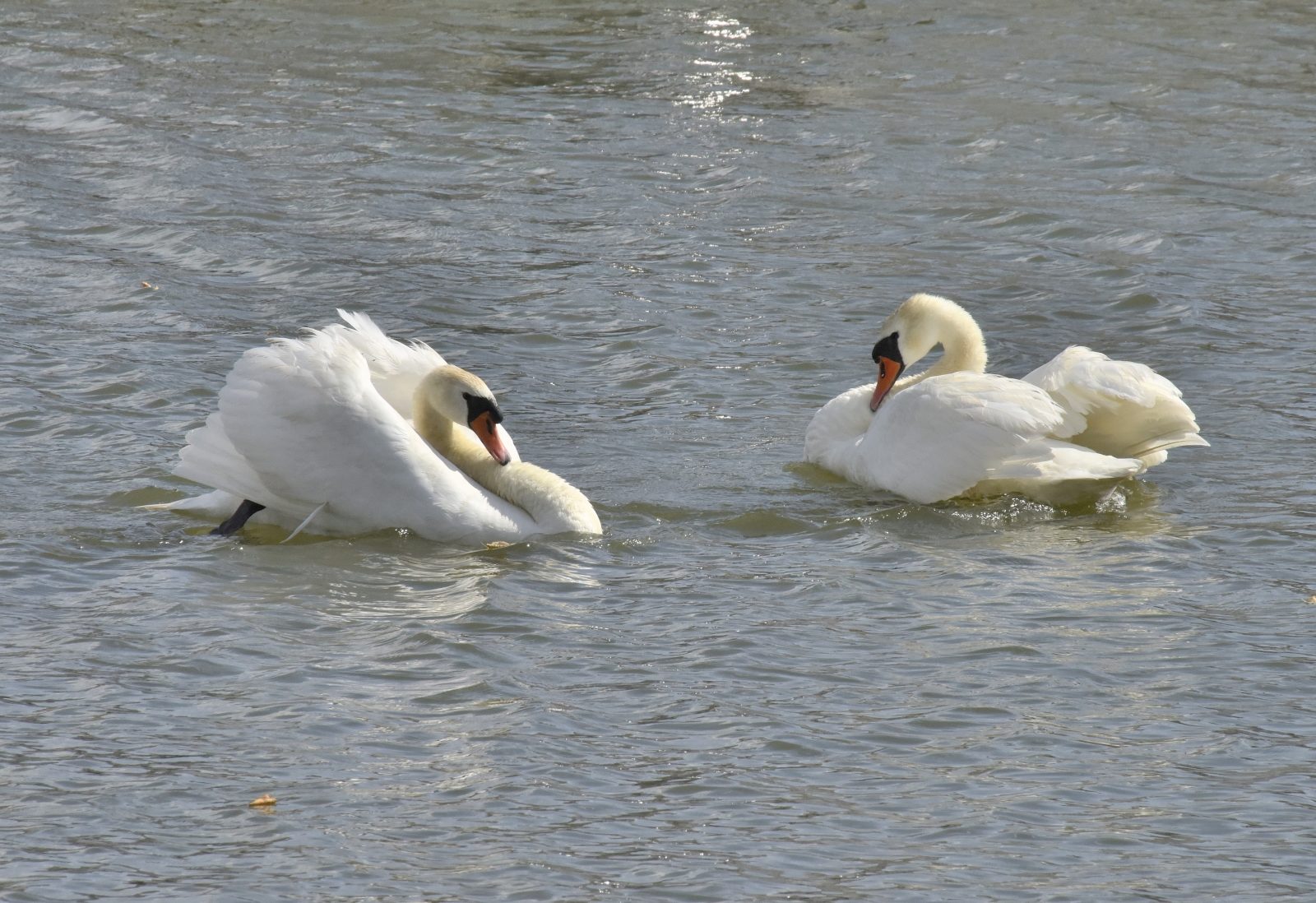 Valokuvaaja: Reijo Juurinen