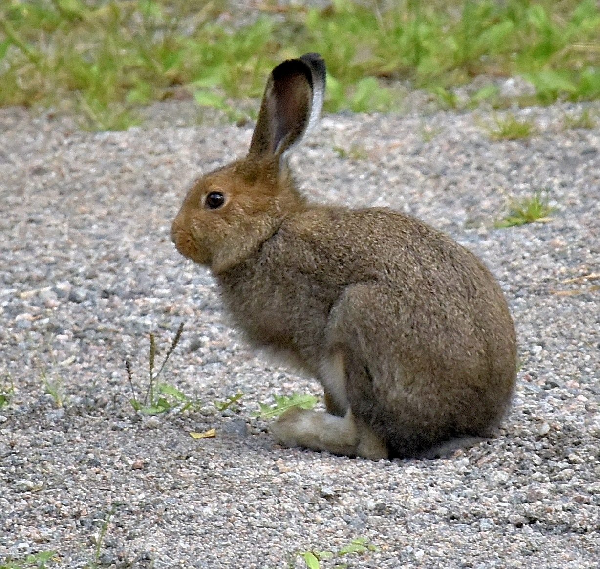 Valokuvaaja: Reijo Juurinen