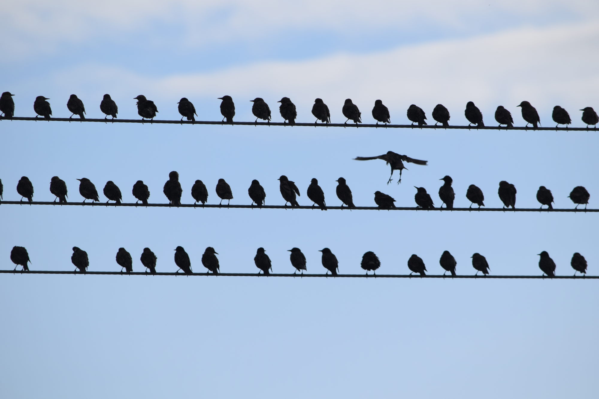 Valokuvaaja: Riitta Marjamäki