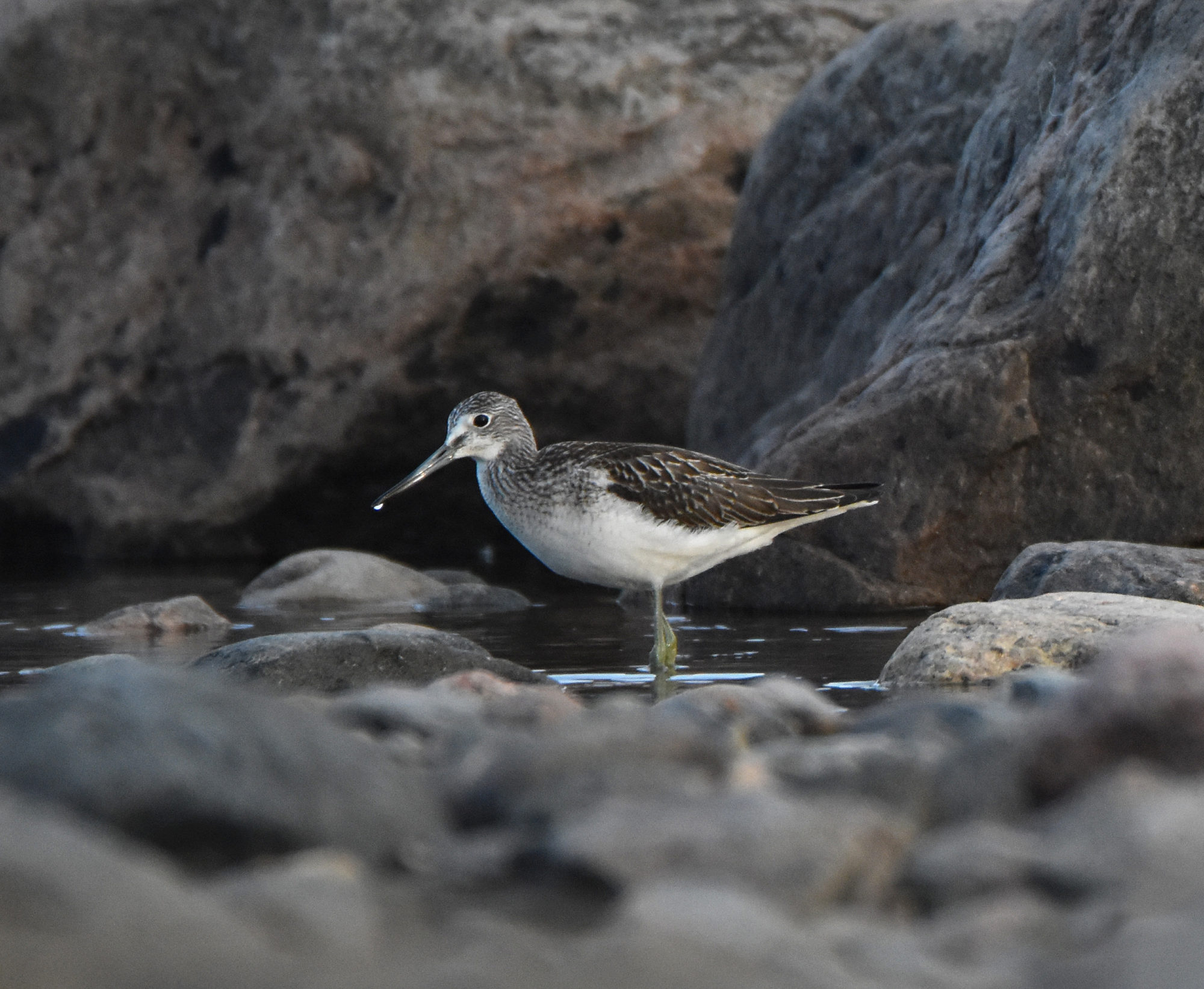 Valokuvaaja: Minna Mäkipää