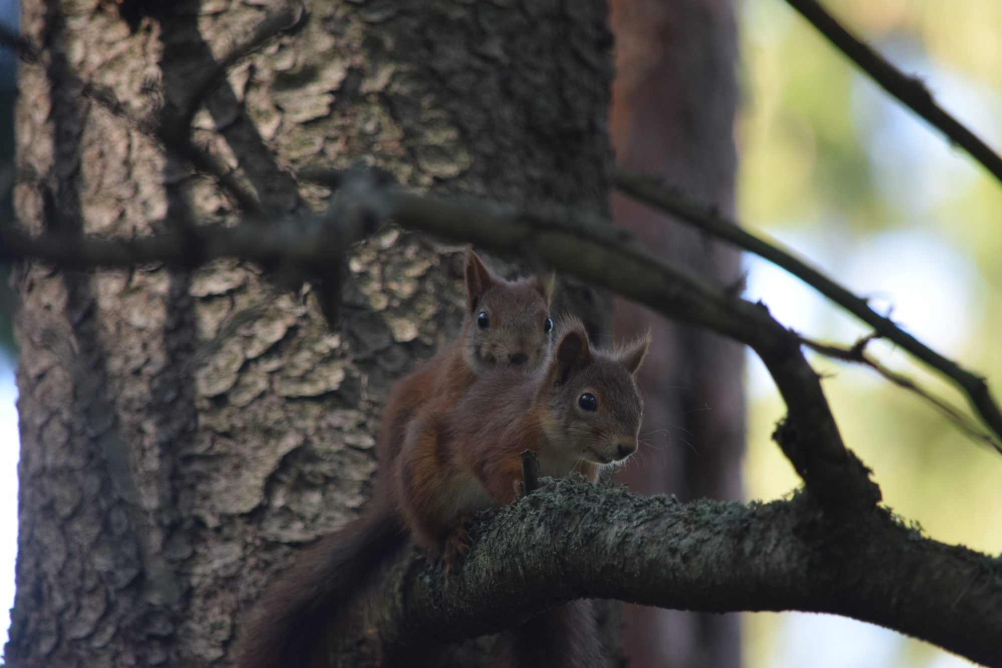 Valokuvaaja: Riitta Marjamäki