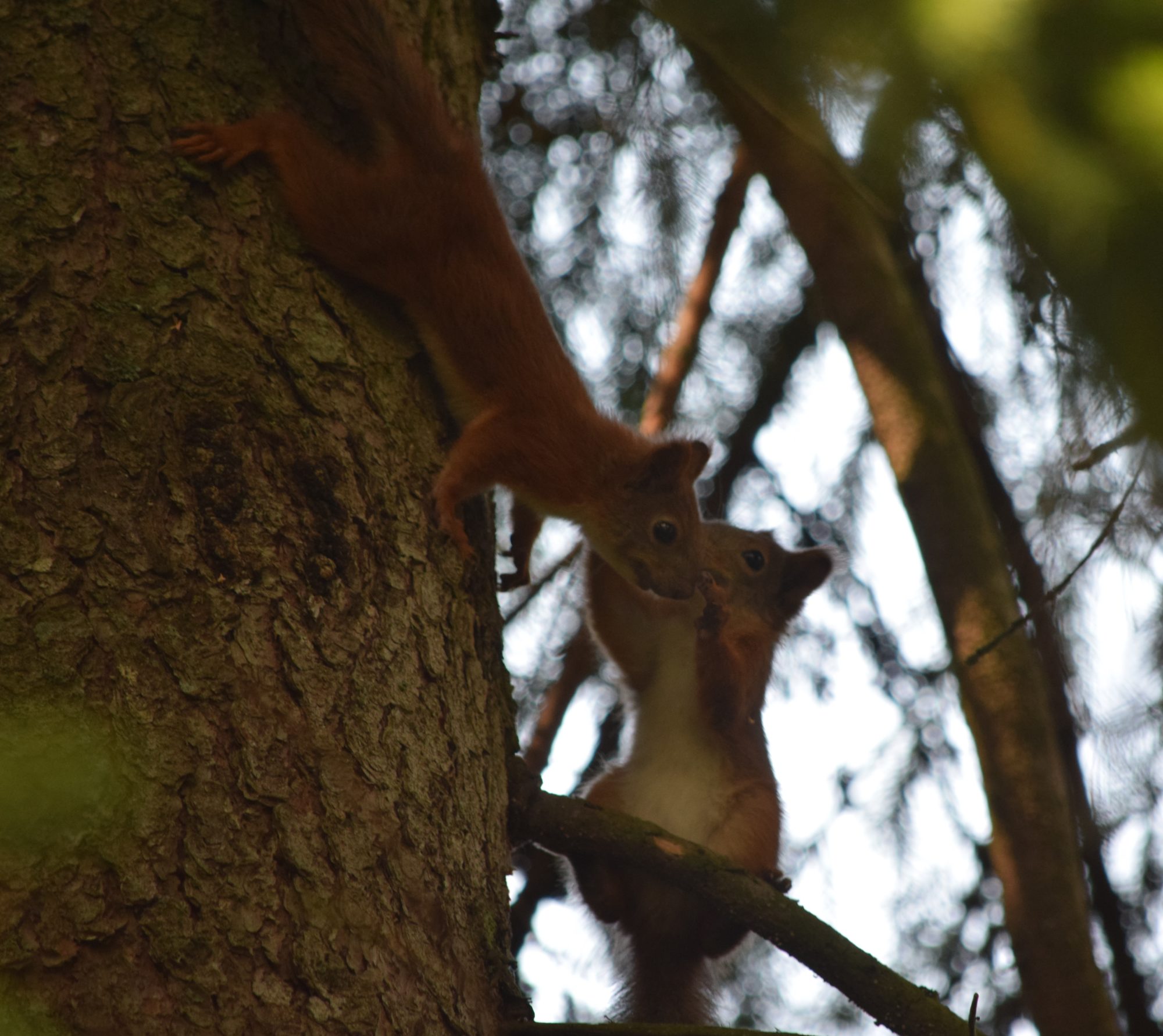 Valokuvaaja: Riitta Marjamäki