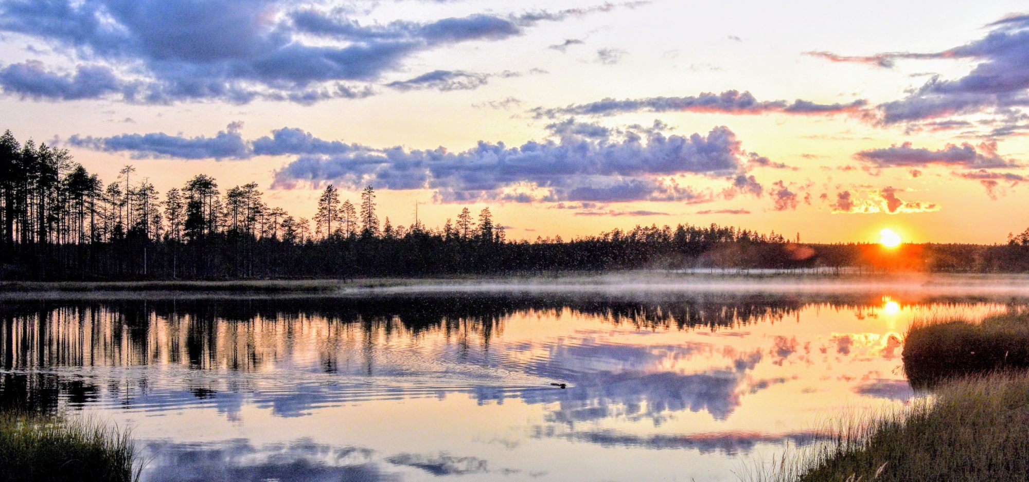 Valokuvaaja: Erkki Timonen Valokuvaaja: Erkki Timonen