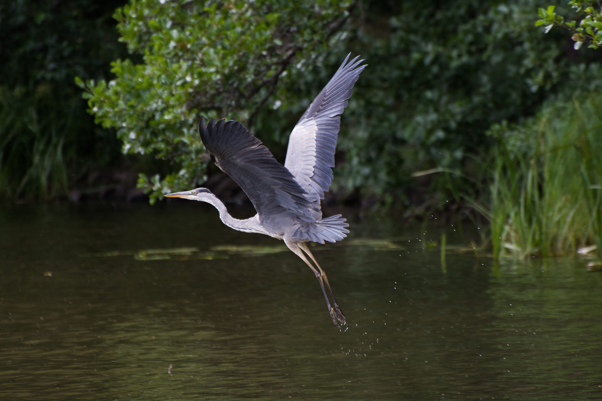 Valokuvaaja: Paavo Siukonen