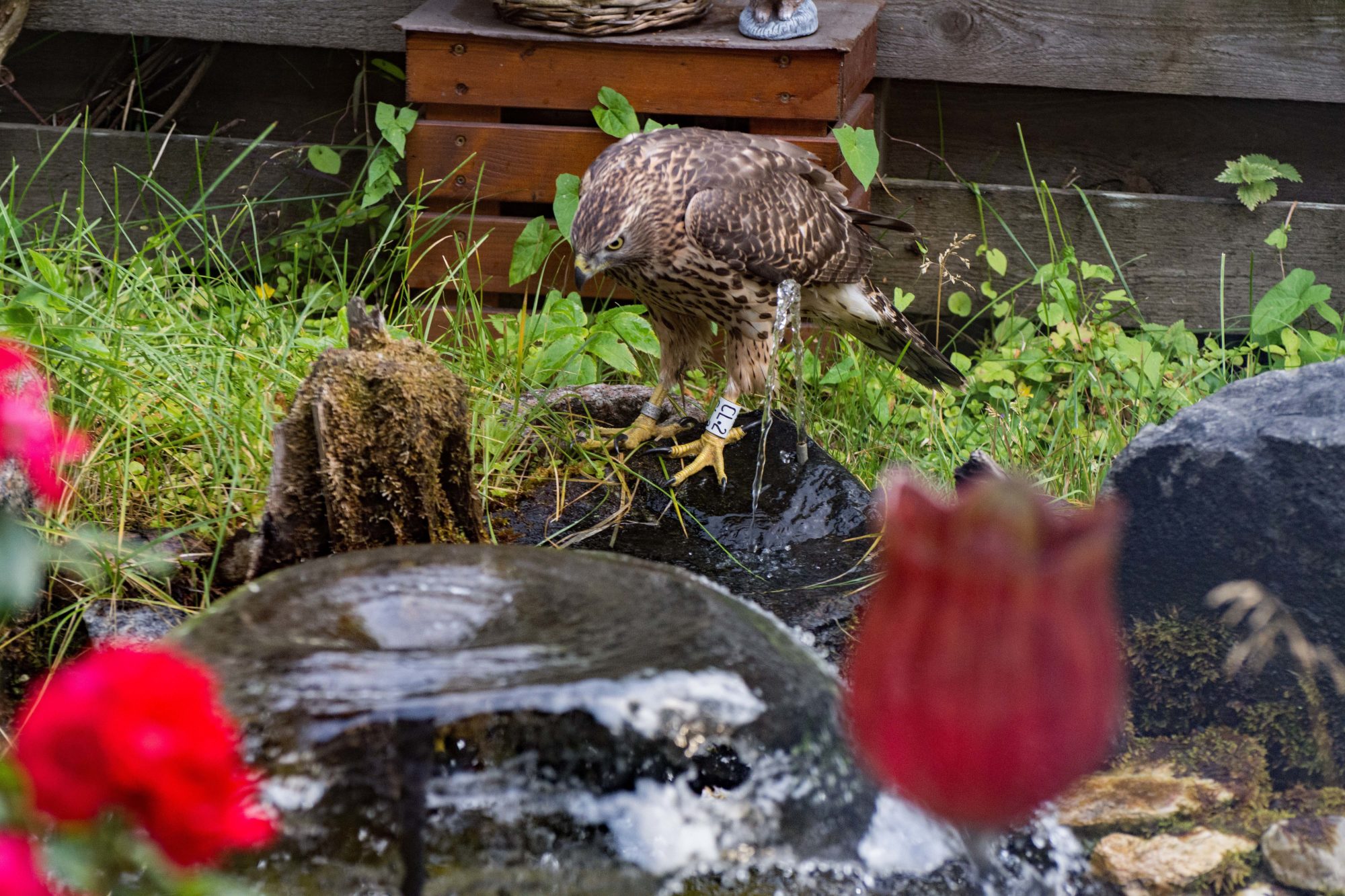 Valokuvaaja: Paavo Siukonen Valokuvaaja: Paavo Siukonen