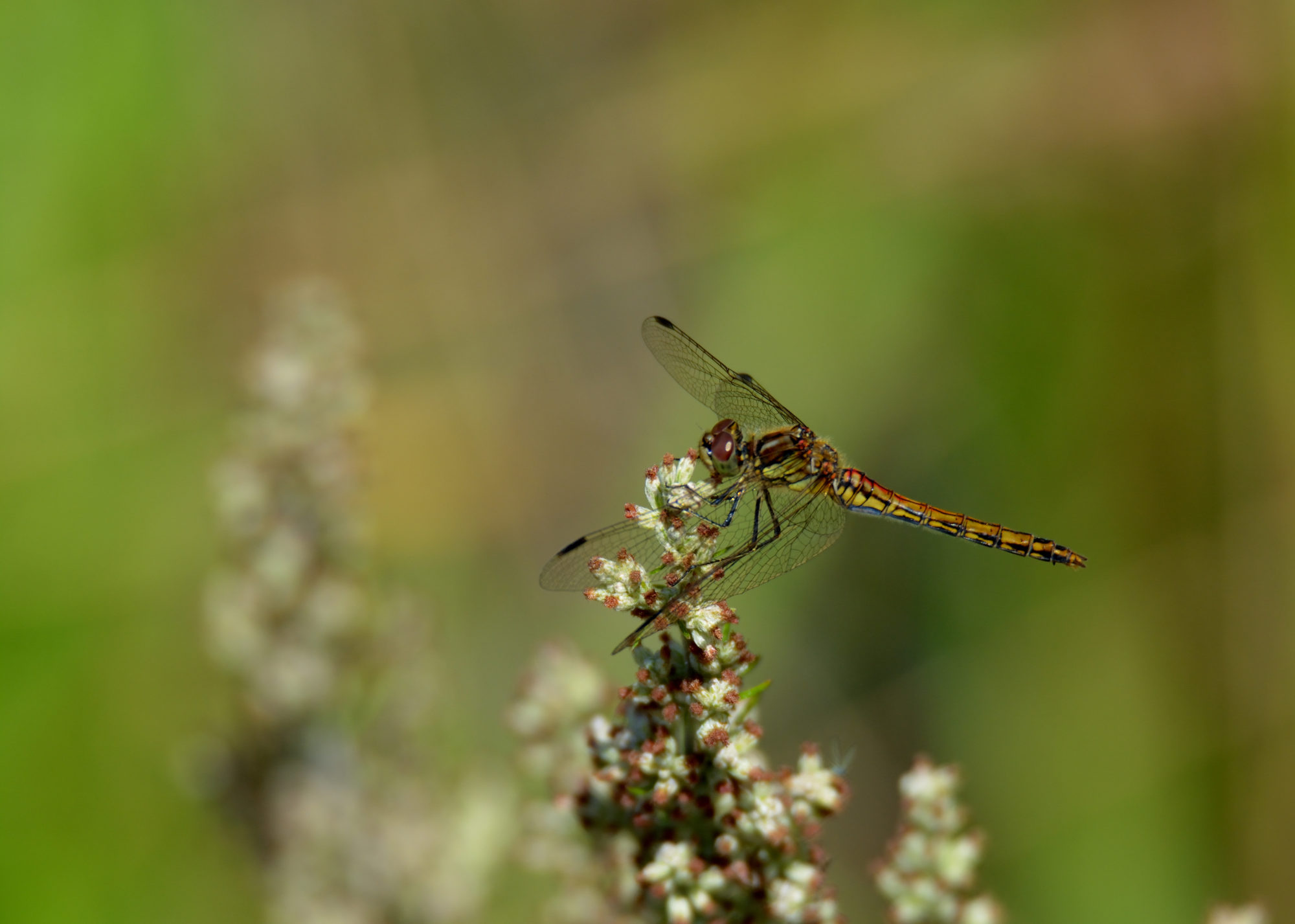 Valokuvaaja: Asko Heikkinen