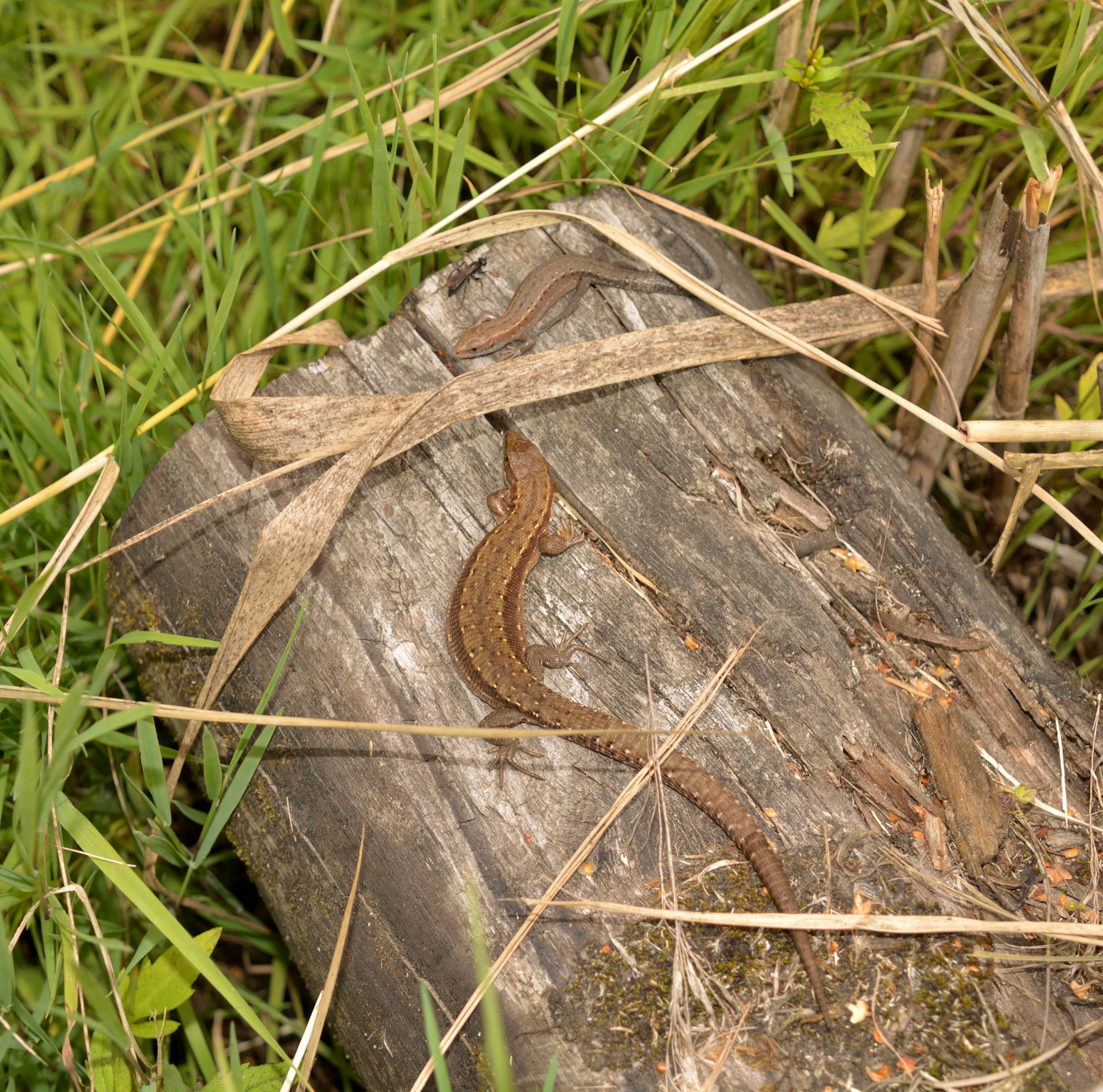 Valokuvaaja: Asko Heikkinen