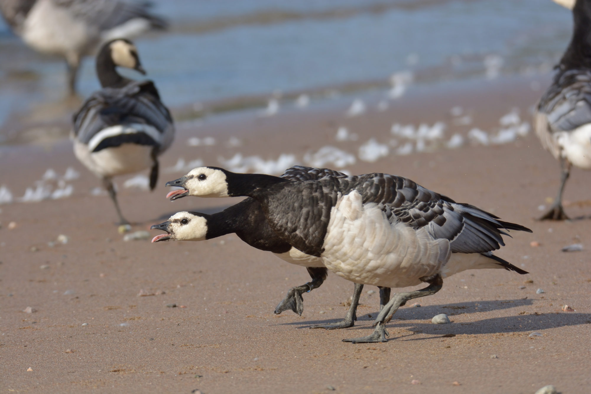 Valokuvaaja: Asko Heikkinen