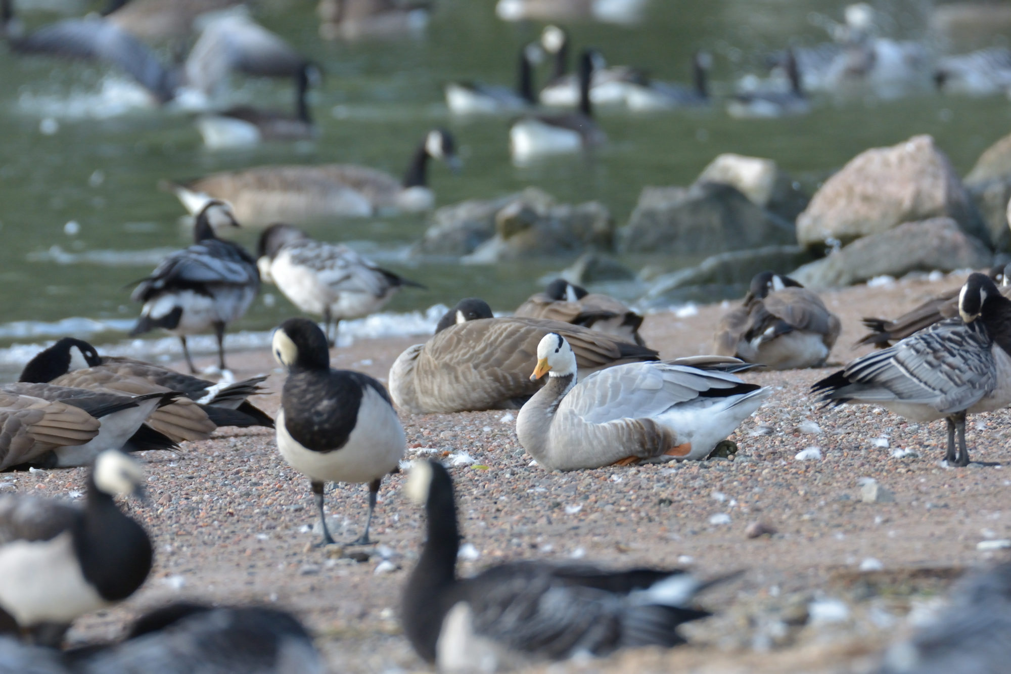 Valokuvaaja: Asko Heikkinen