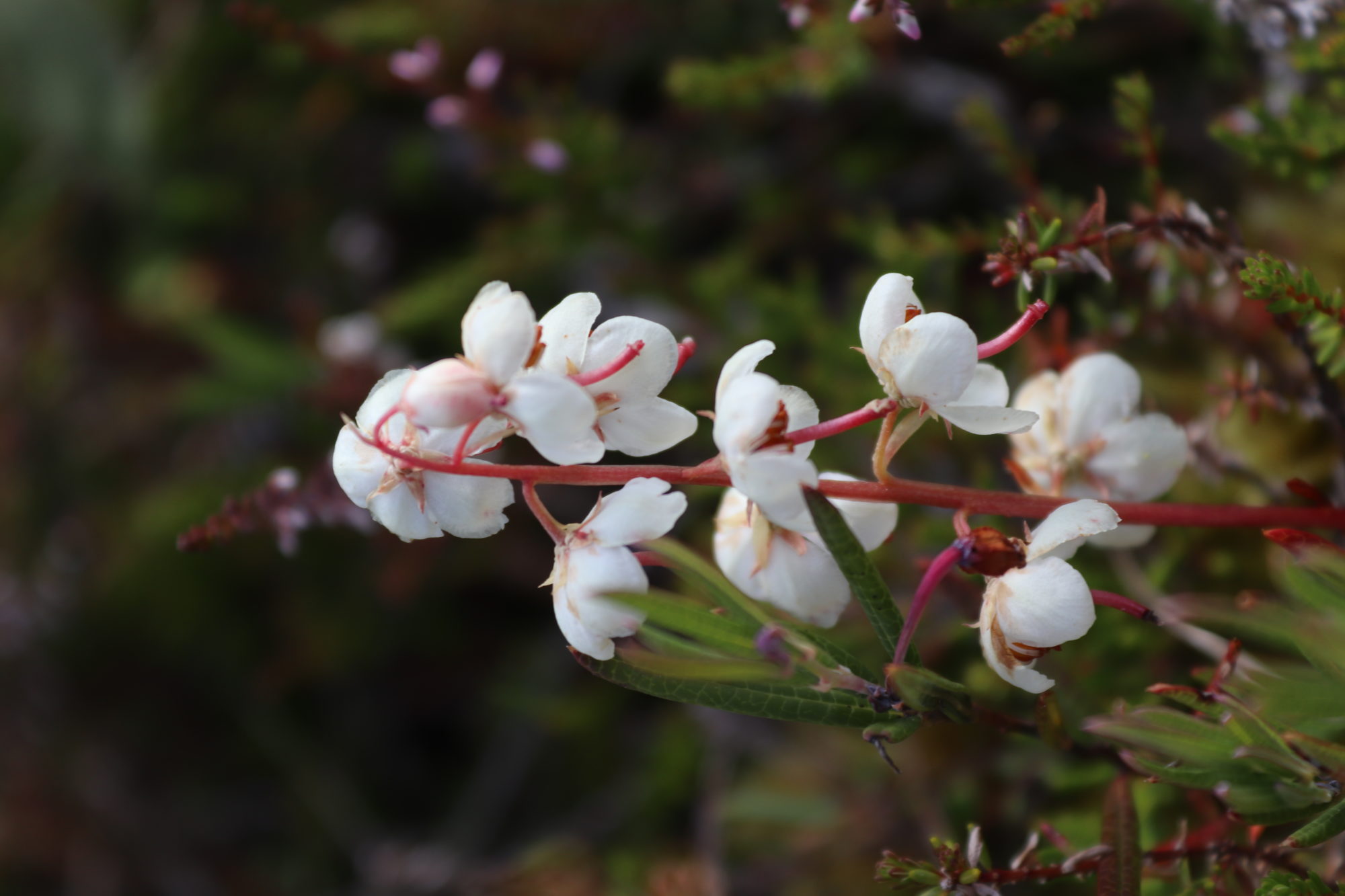 Valokuvaaja: Irja Lehtinen