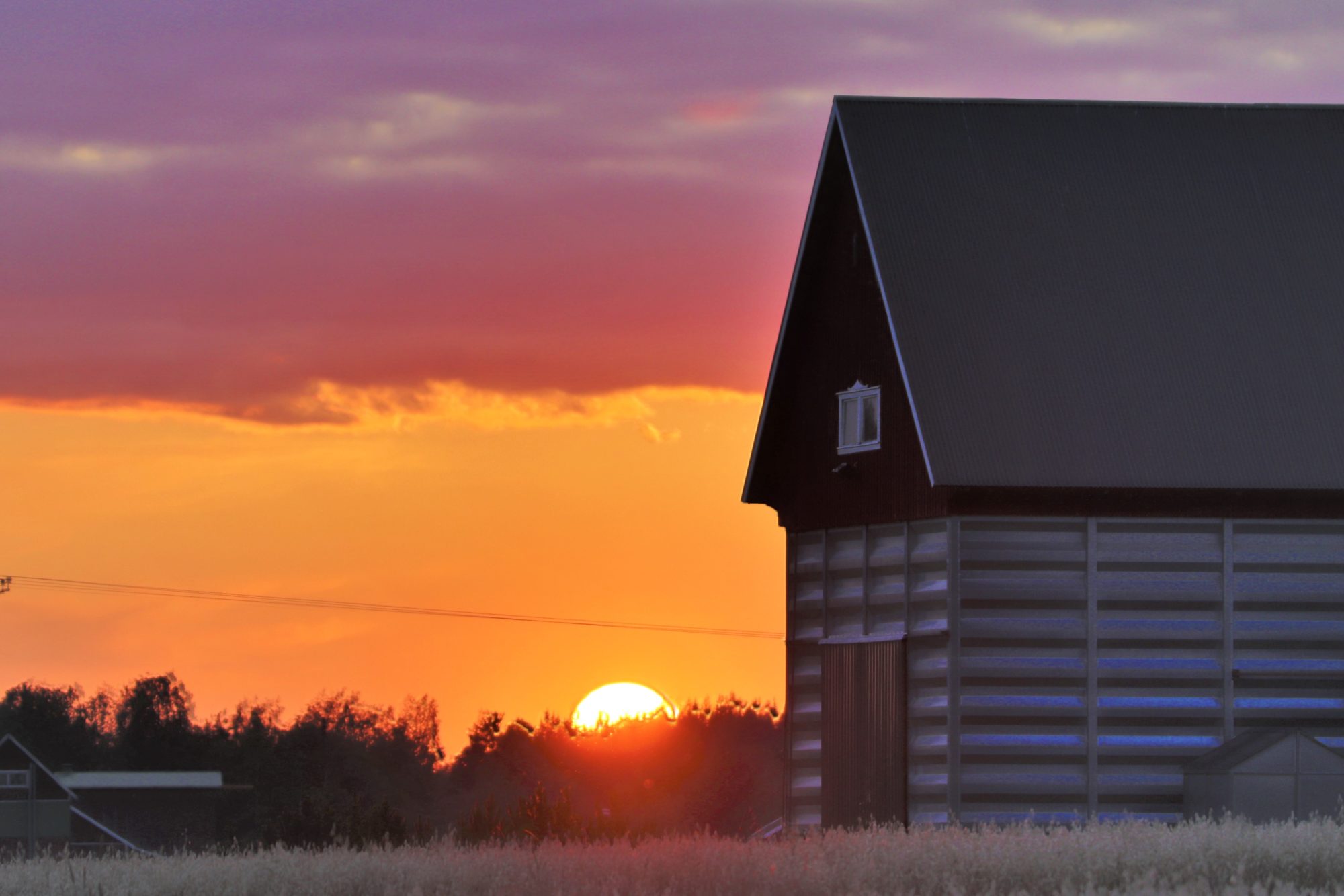 Valokuvaaja: Irja Lehtinen