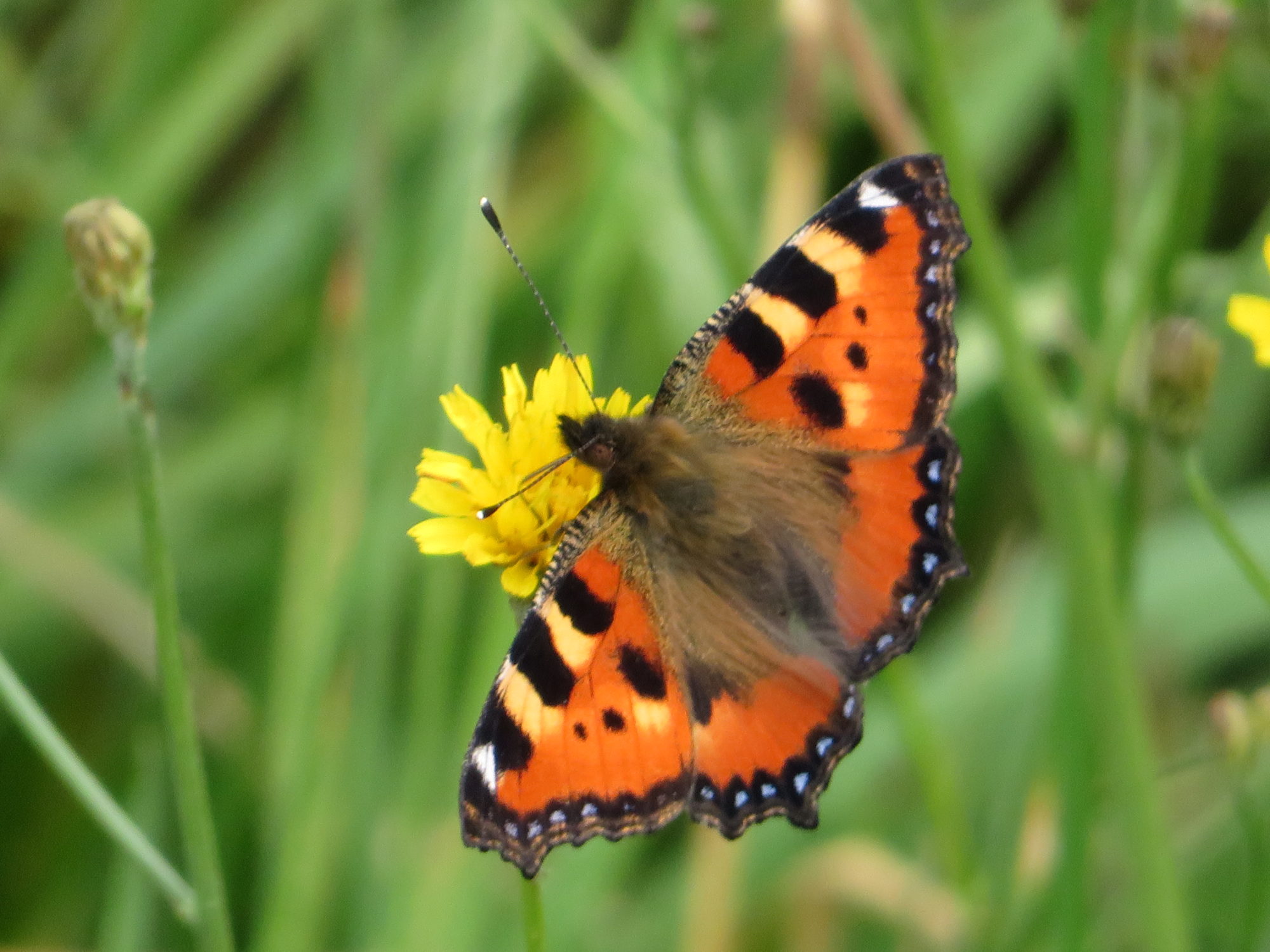 Valokuvaaja: Risto Kangassalo