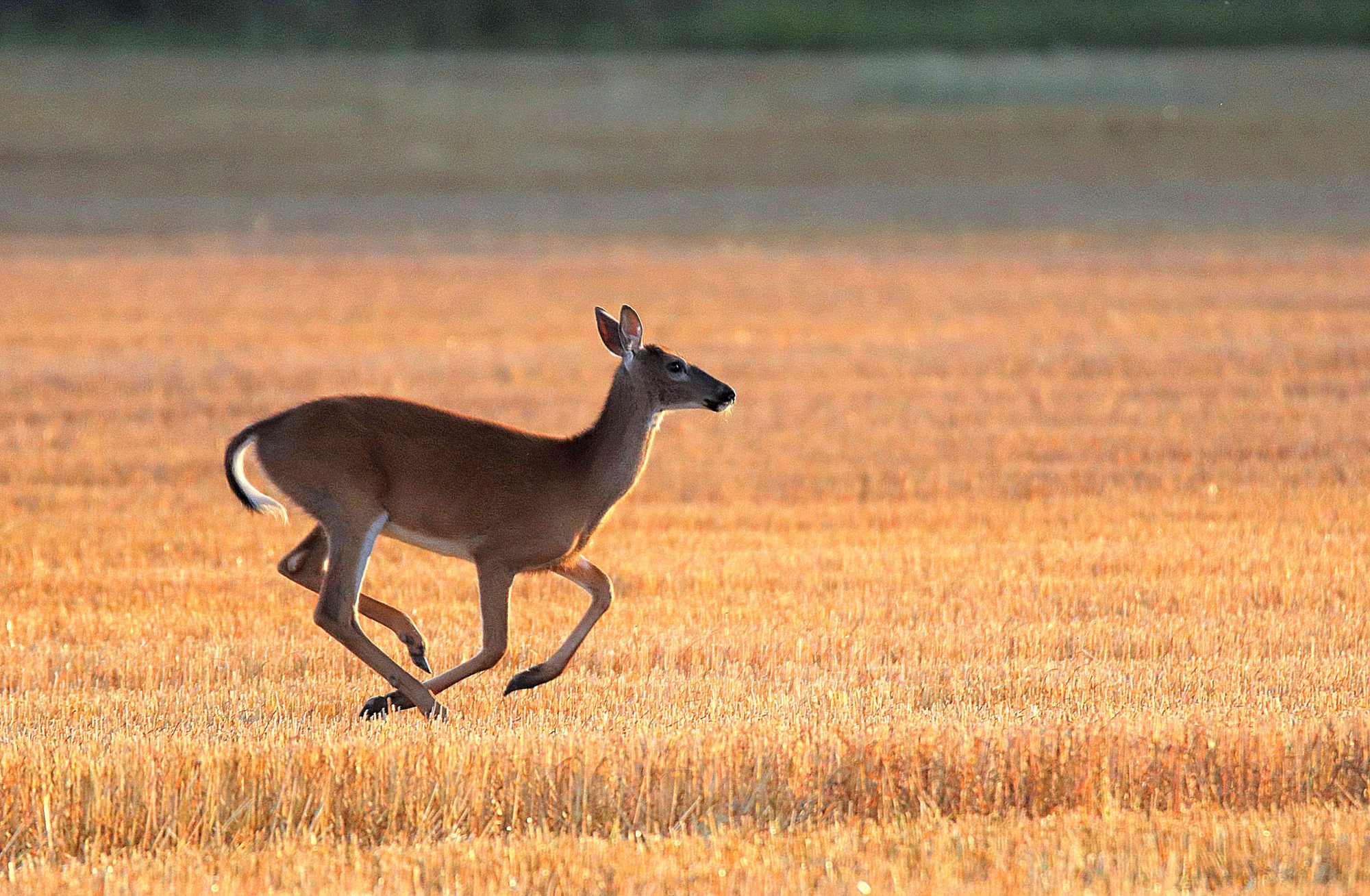 Valokuvaaja: Irja Lehtinen