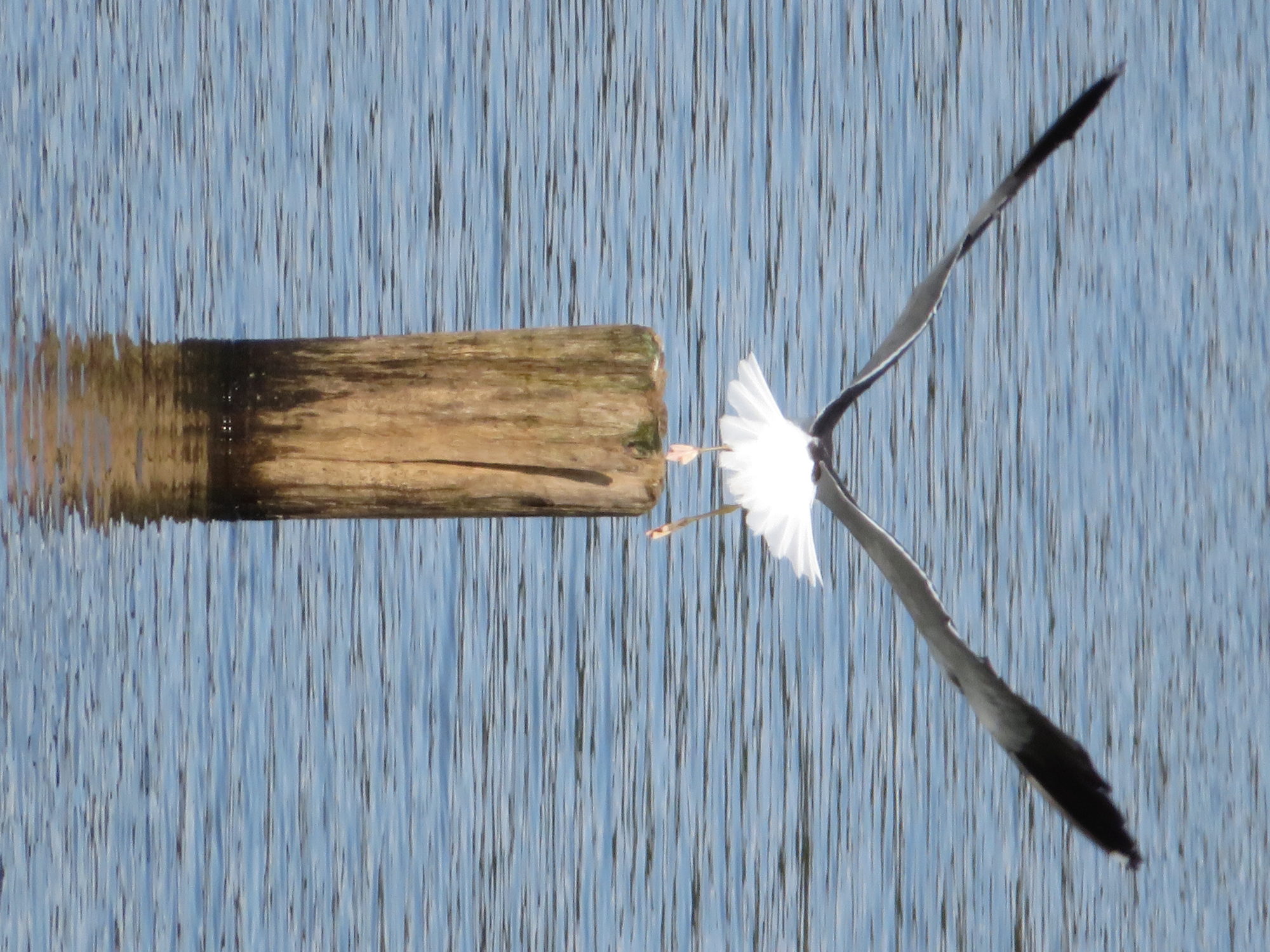 Valokuvaaja: Risto Kangassalo