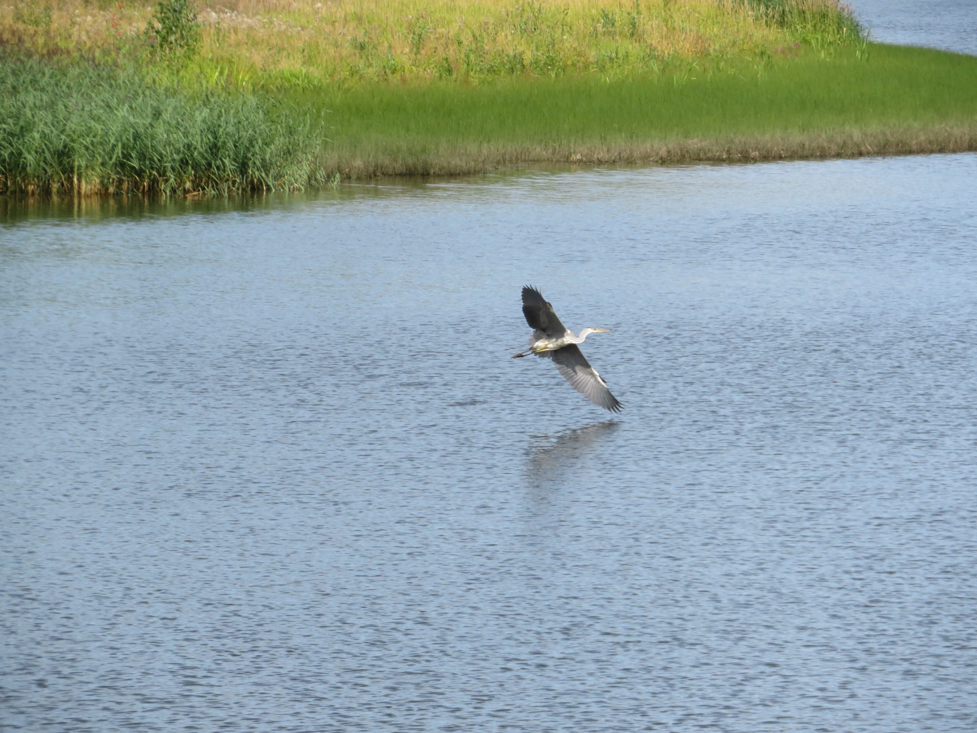 Valokuvaaja: Risto Kangassalo