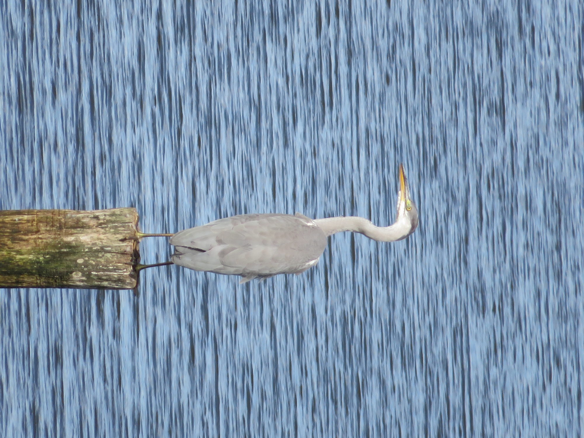 Valokuvaaja: Risto Kangassalo