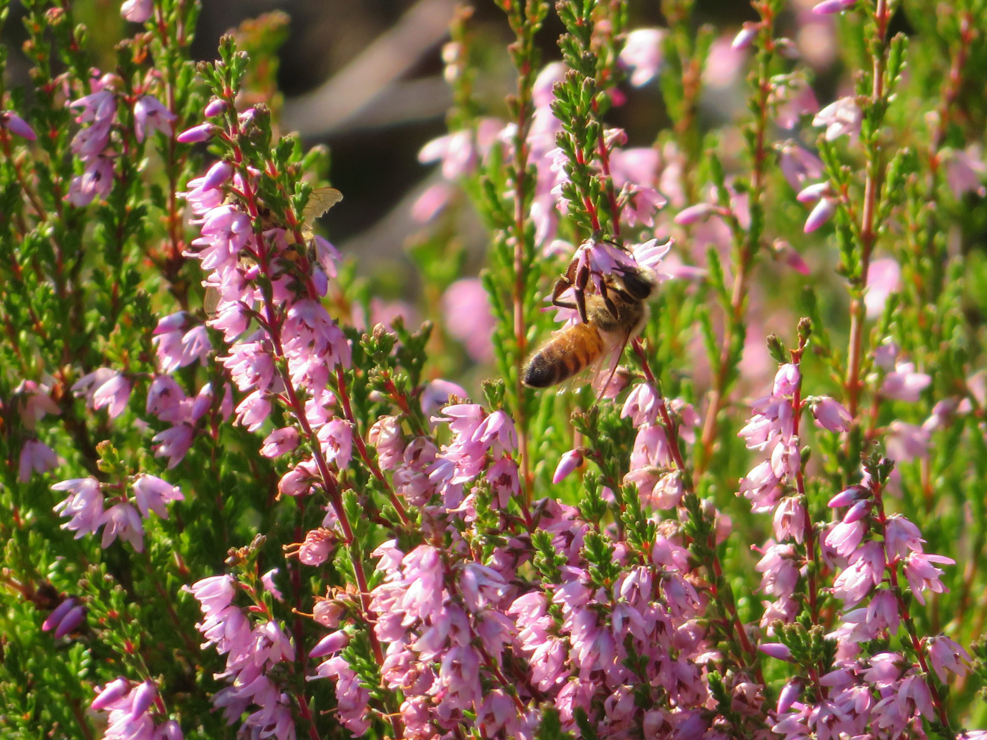 Valokuvaaja: Risto Kangassalo