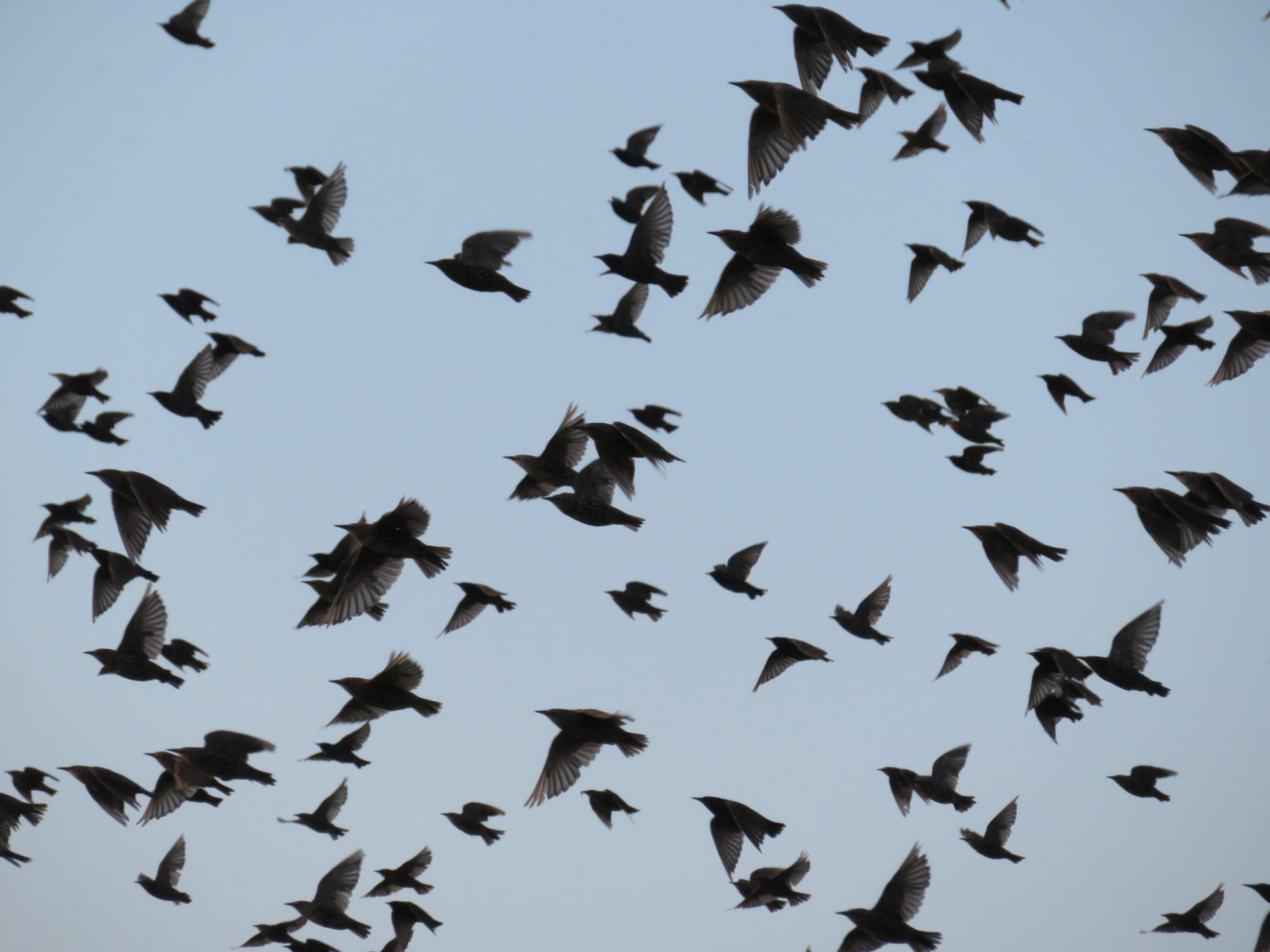 Valokuvaaja: Risto Kangassalo