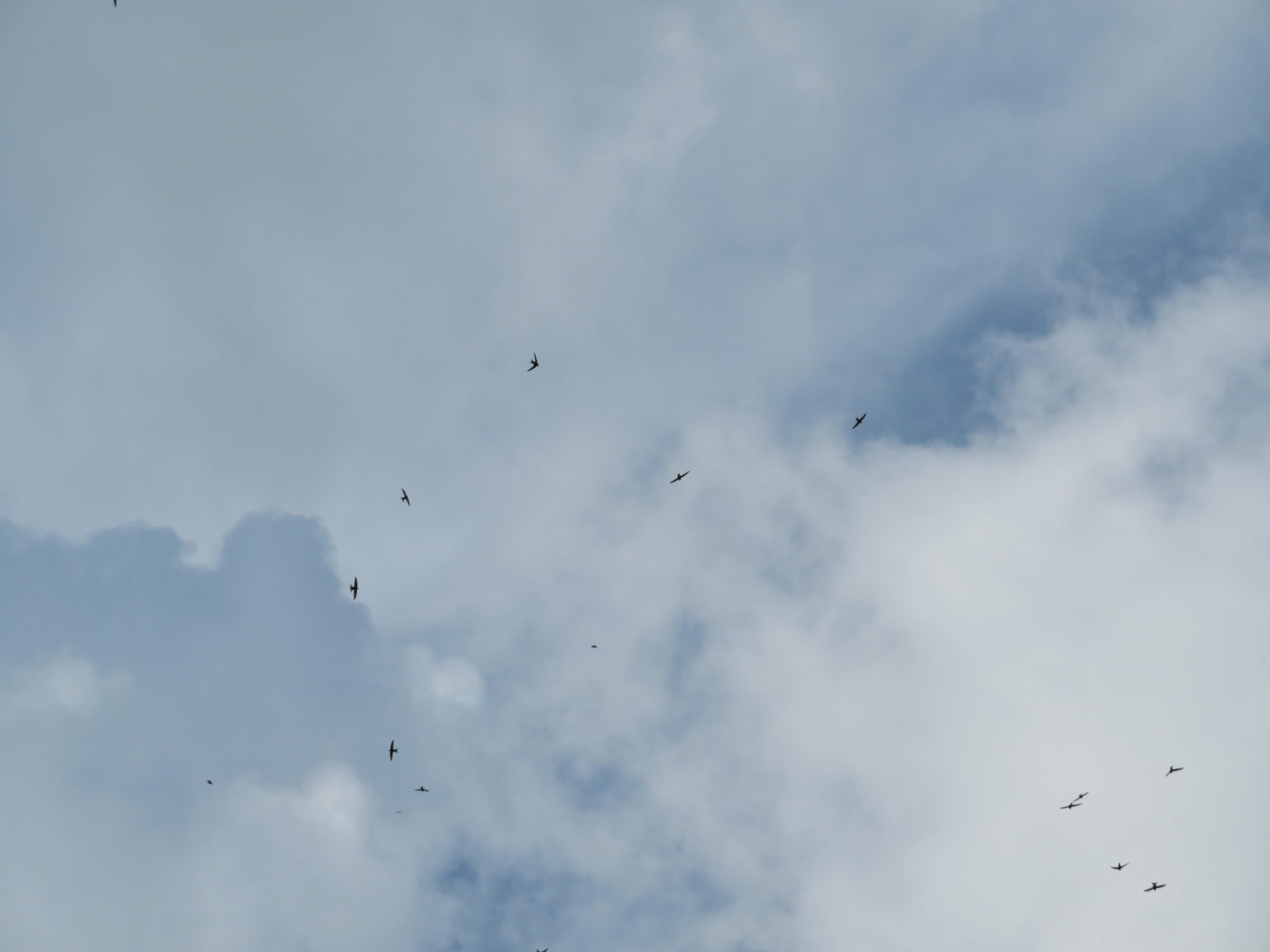 Valokuvaaja: Risto Kangassalo