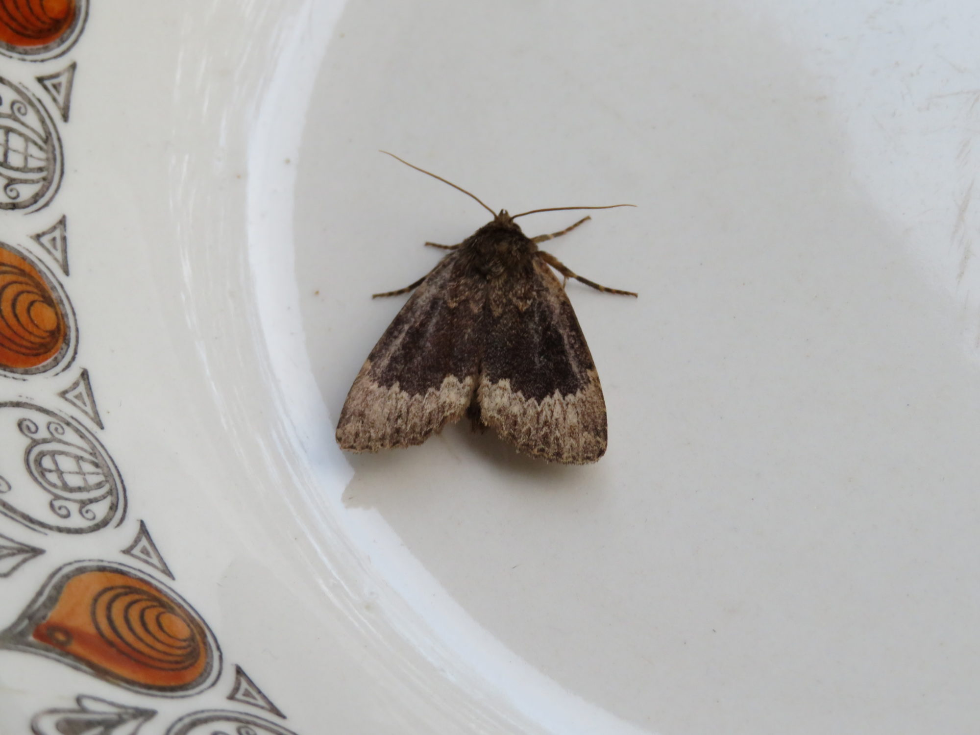 Valokuvaaja: Risto Kangassalo