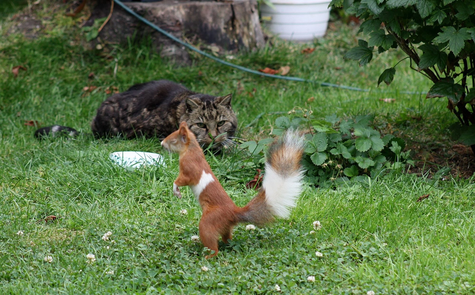 Valokuvaaja: Pirkko Siukonen