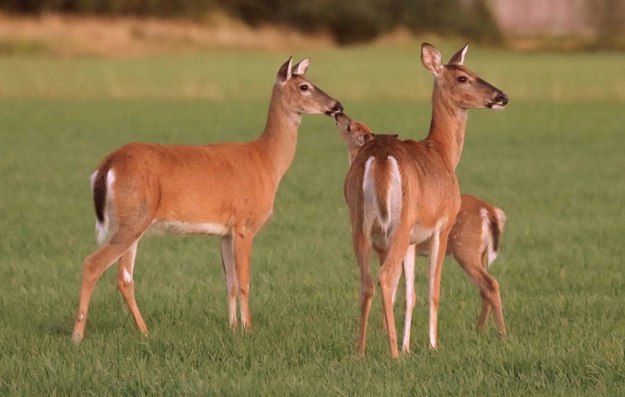 Valokuvaaja: Irja Lehtinen