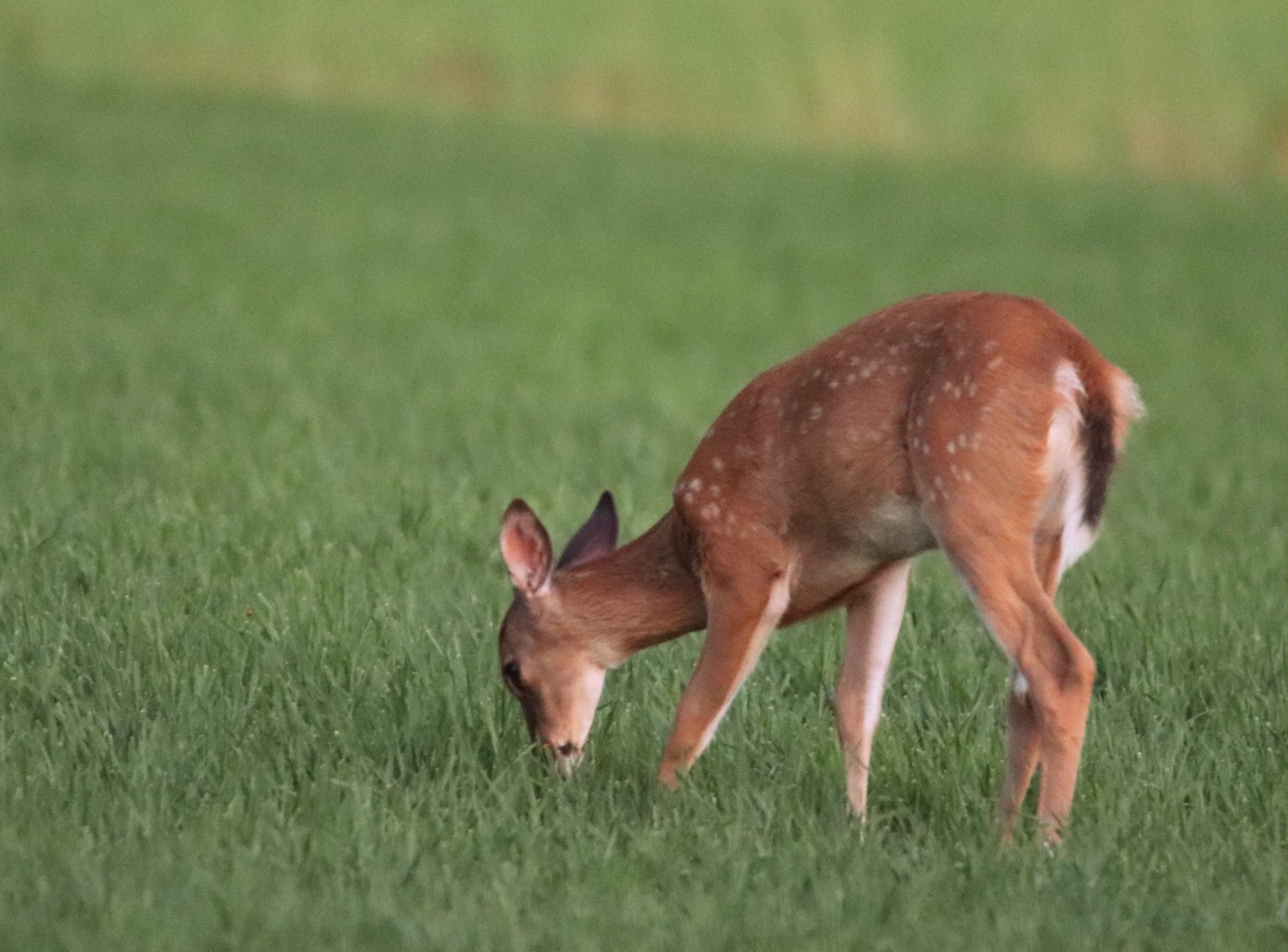 Valokuvaaja: Irja Lehtinen