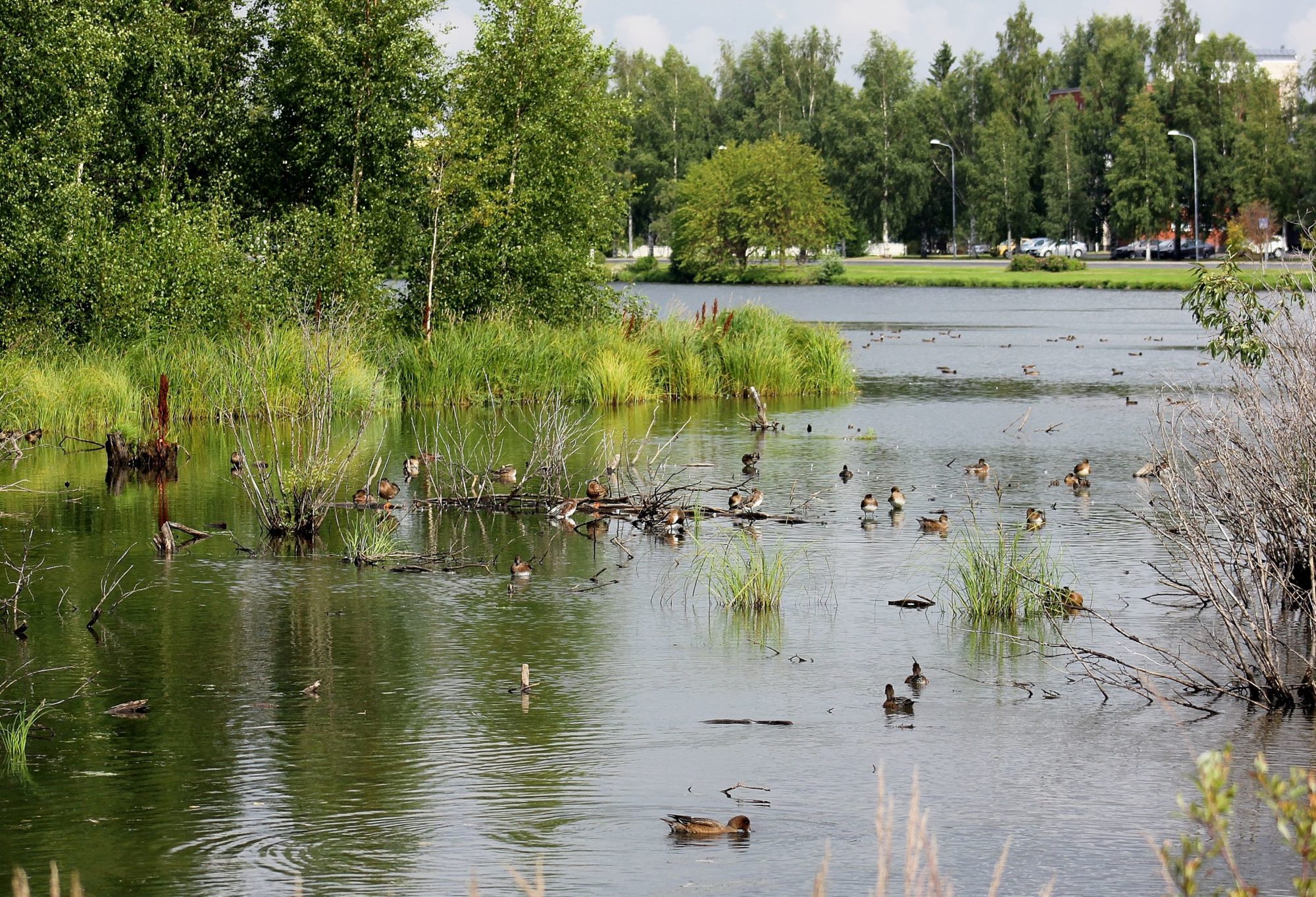 Valokuvaaja: Pirkko Siukonen